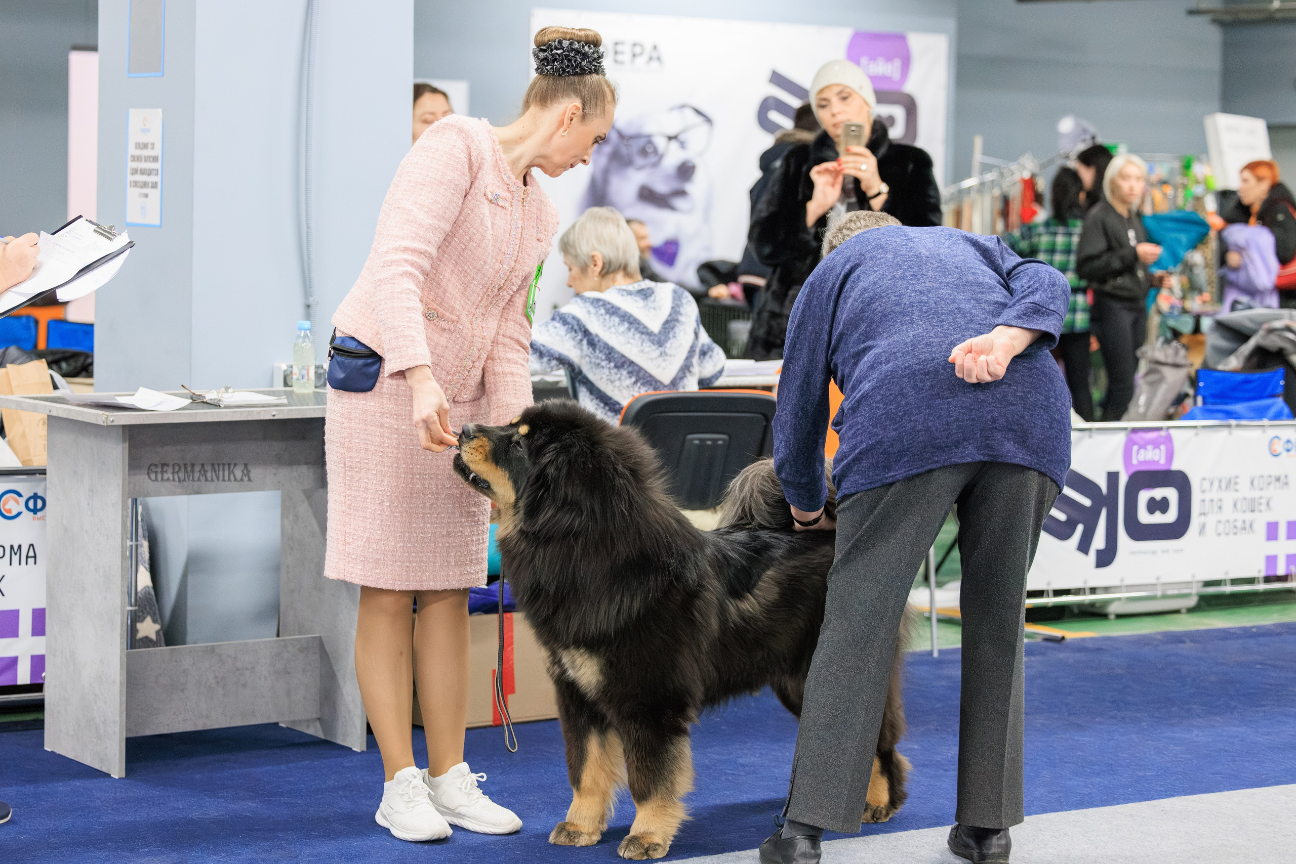 Сфера 08 и 10.03.2024 2хмоно ротвейлеров+2хмоно сао. Фотограф-анималист Юлия Германика
