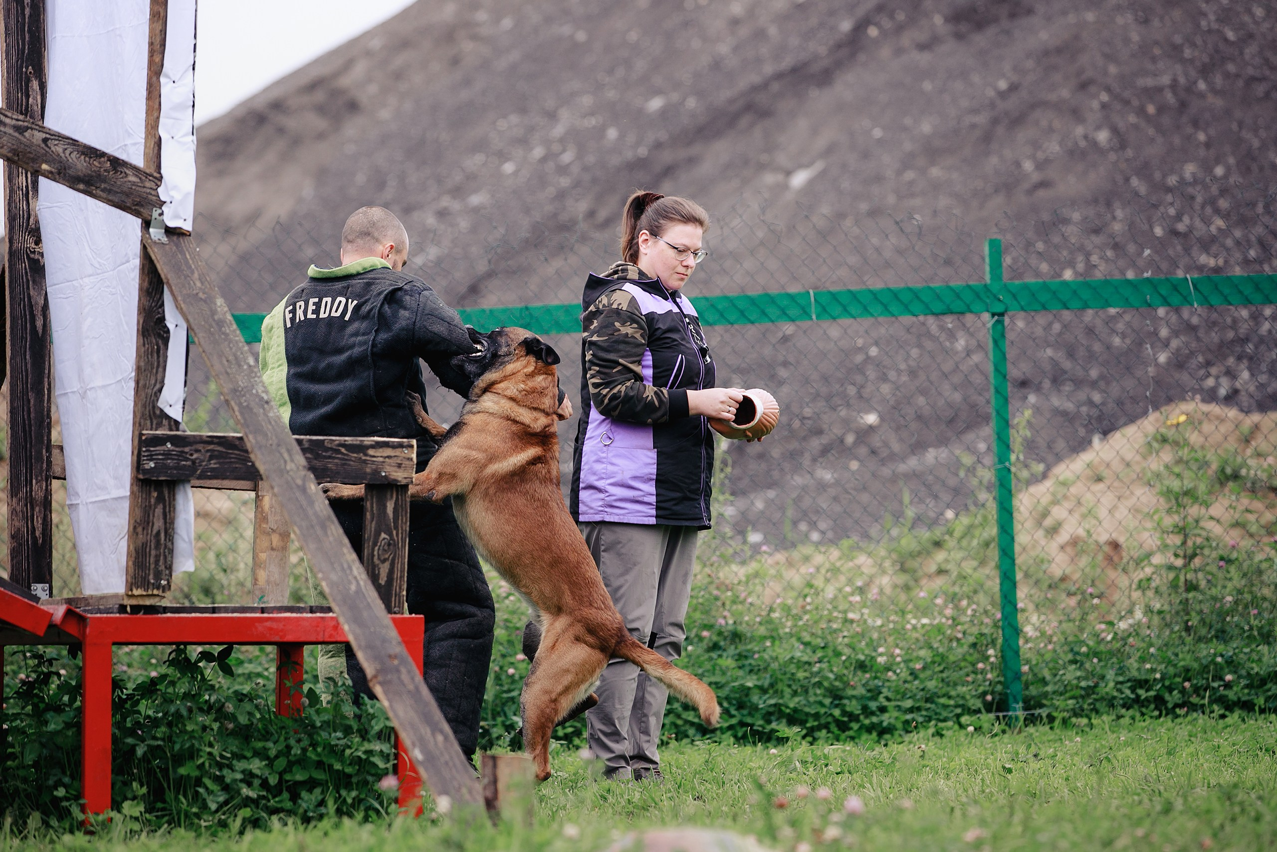Мондьоринг М1, М2, М3, Вологда. Фотограф-анималист Mary Mart — Москва, Питер
