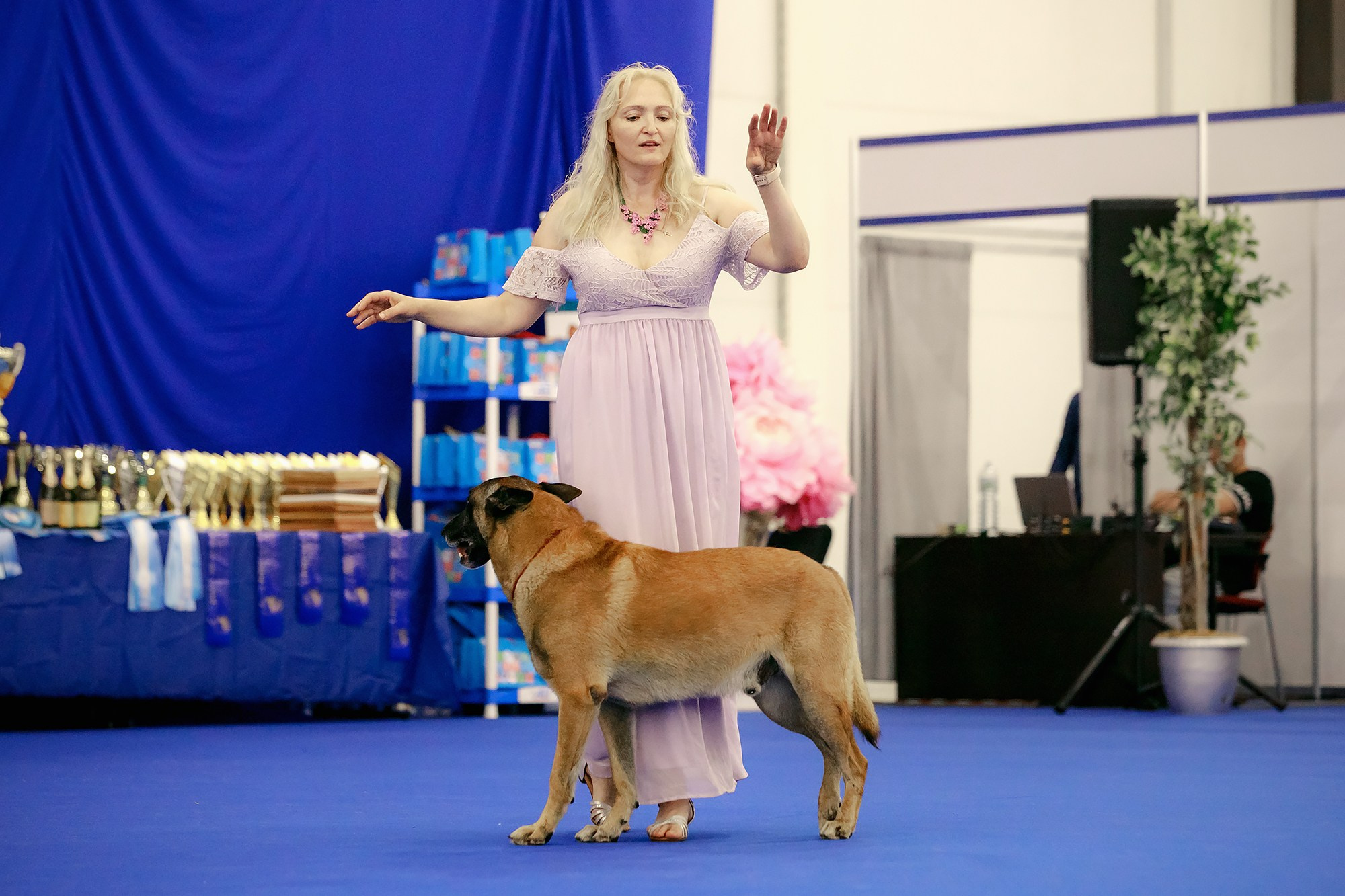 Танцы на выставке «Зоошоу», СПб. Фотограф-анималист Mary Mart — Москва, Питер