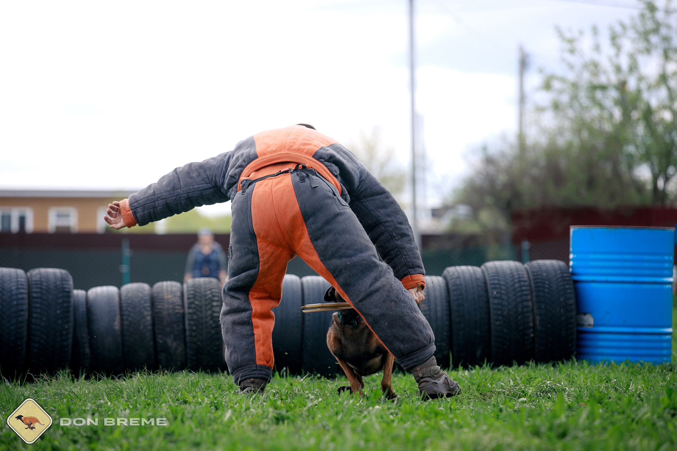 Семинар для фигурантов, день 2. Фотограф-анималист Mary Mart — Москва, Питер