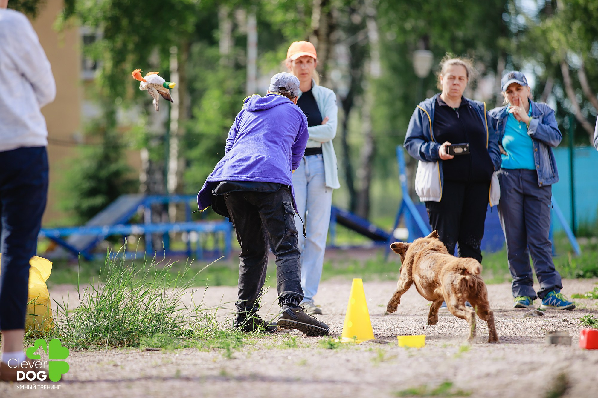 Семинар по поиску запаха с Иваном Ломовым, организатор CleverDog, СПб. Фотограф-анималист Mary Mart — Москва, Питер