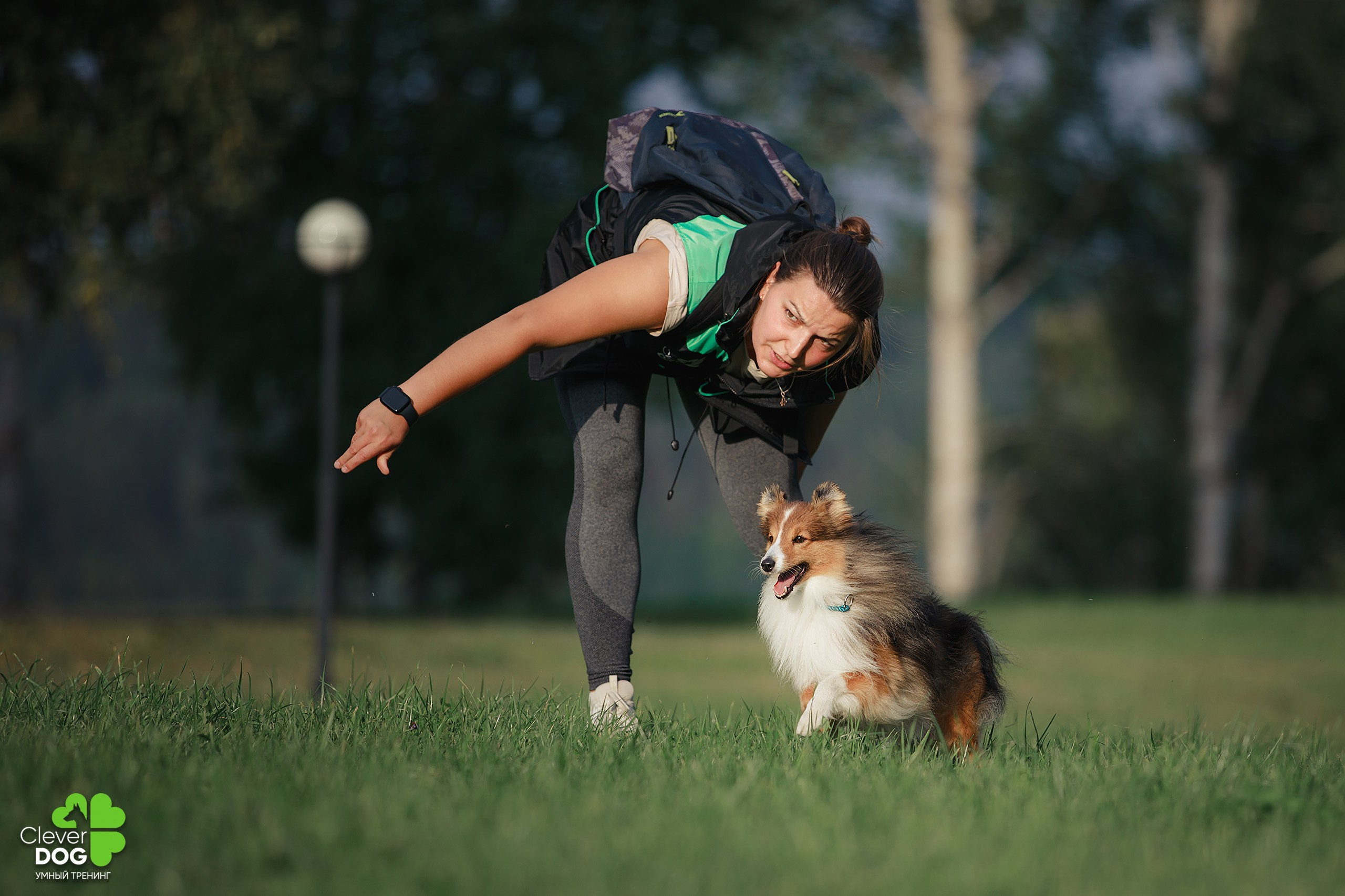 Кинологический лагерь CleverDog, 2024. Фотограф-анималист Mary Mart — Москва, Питер