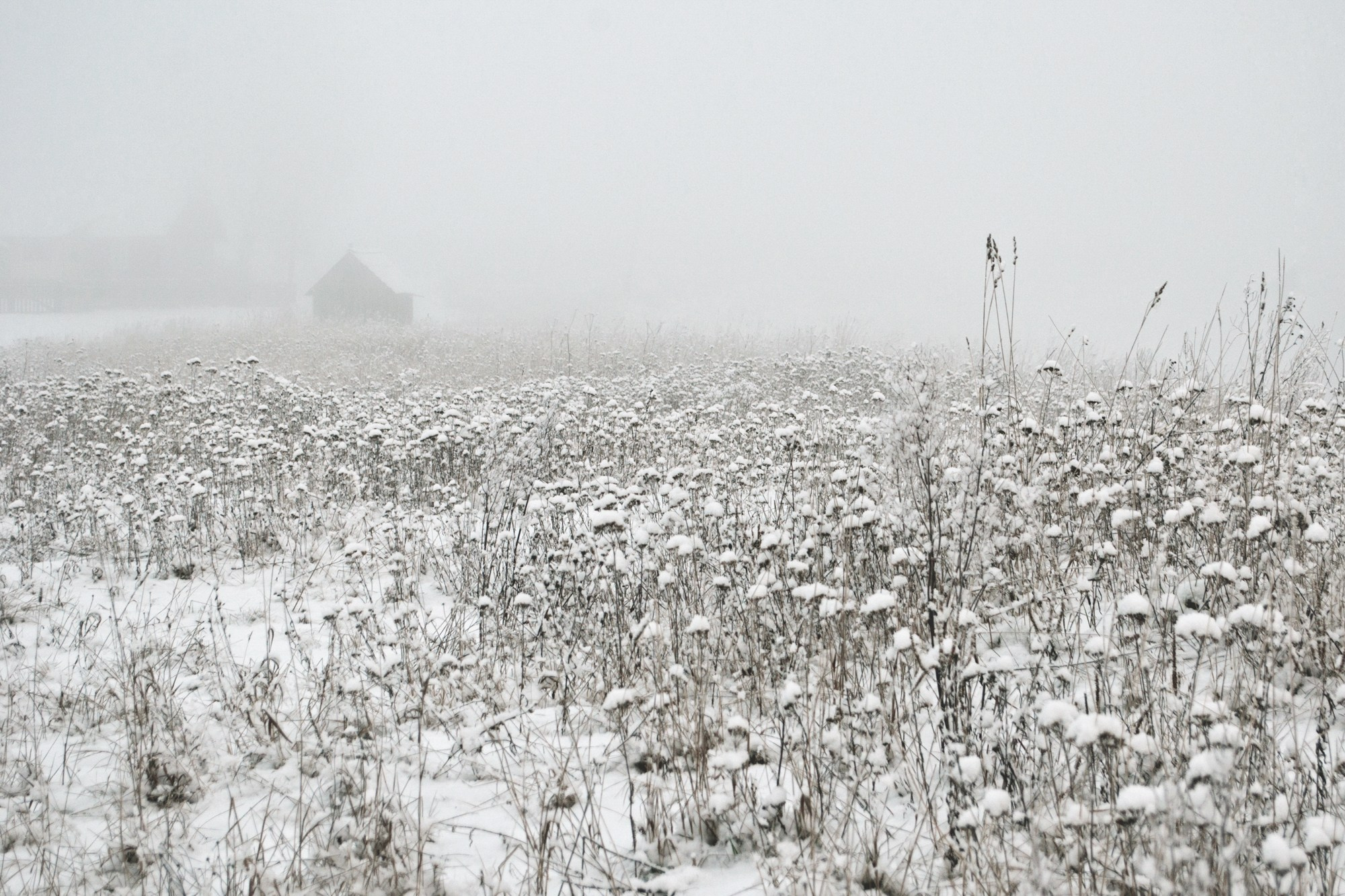 Нить Паулино. Фотограф Юлия Близнецова
