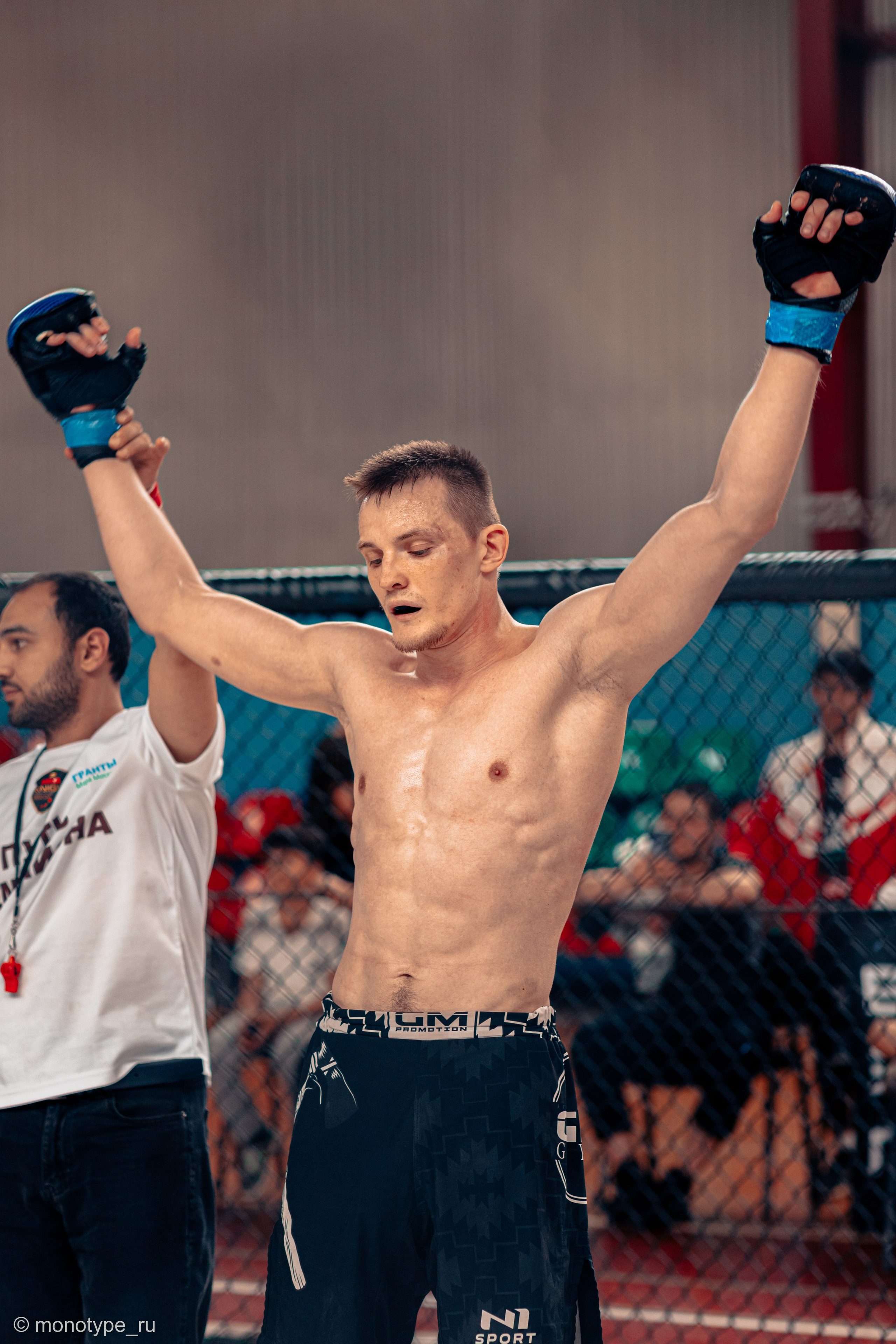 MMA. Бойцовский турнир