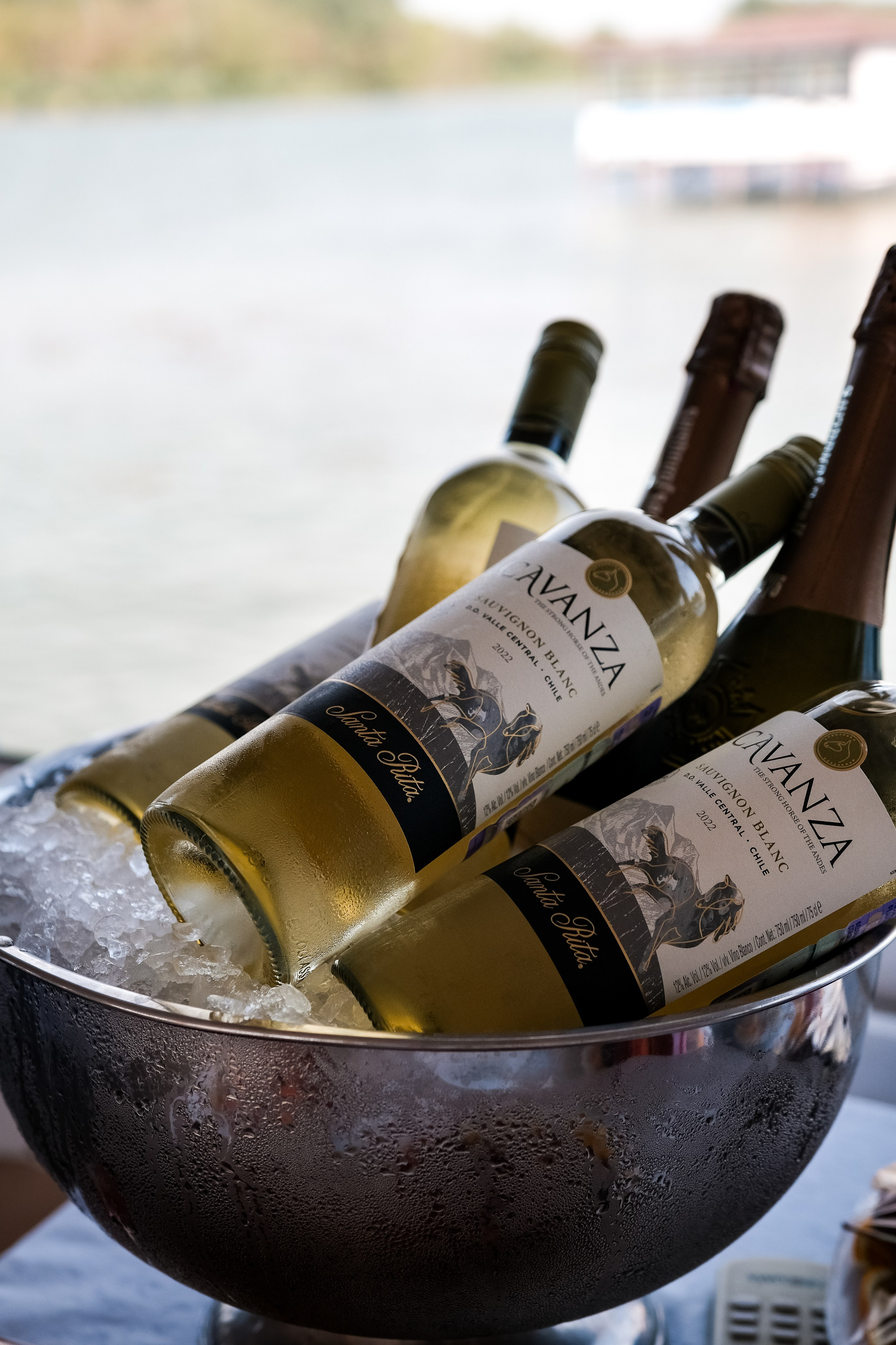 Алексей и Алина