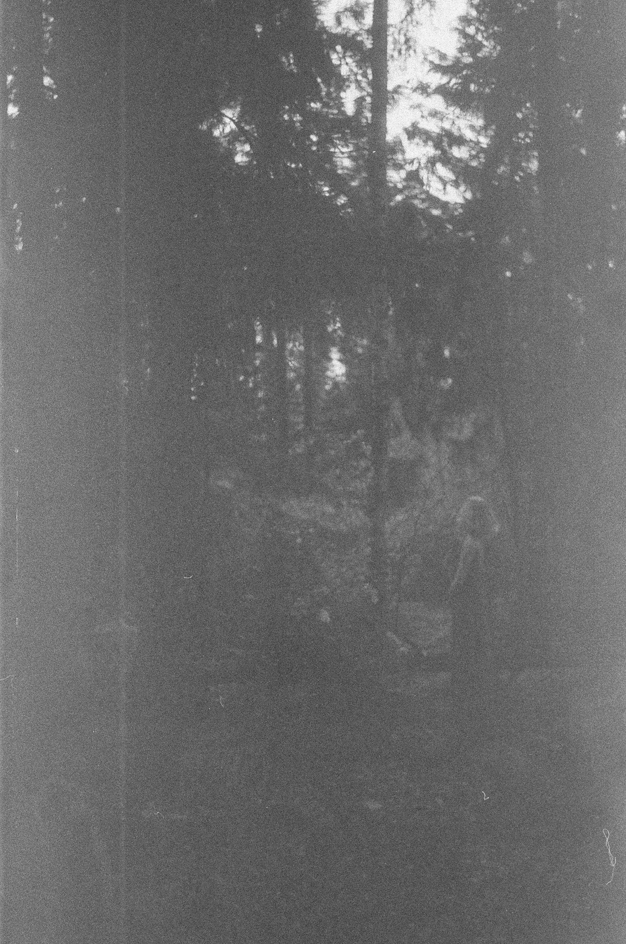 Настя. Творческий фотограф в Москве Наталья Ермолова