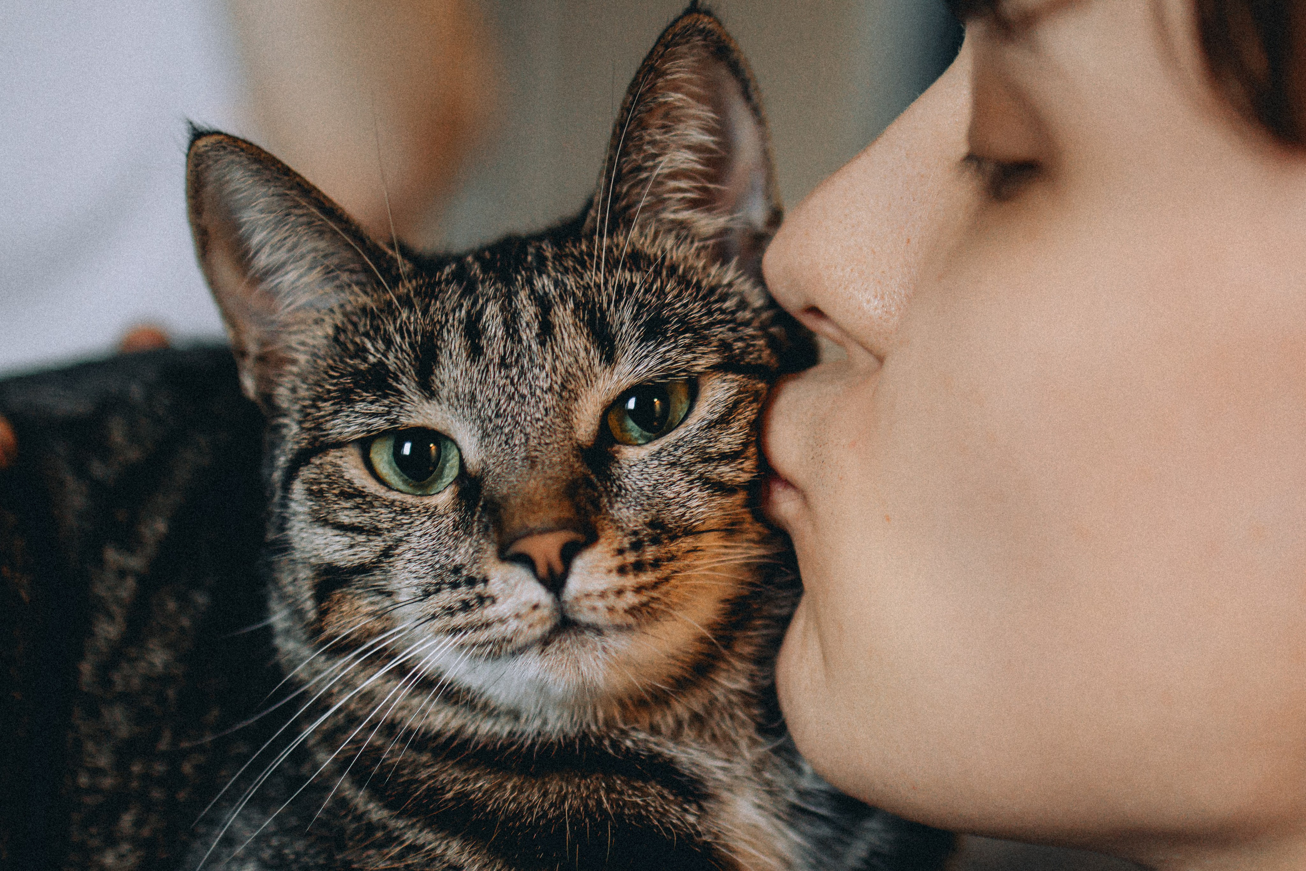 Рыся, Кепа и их семья