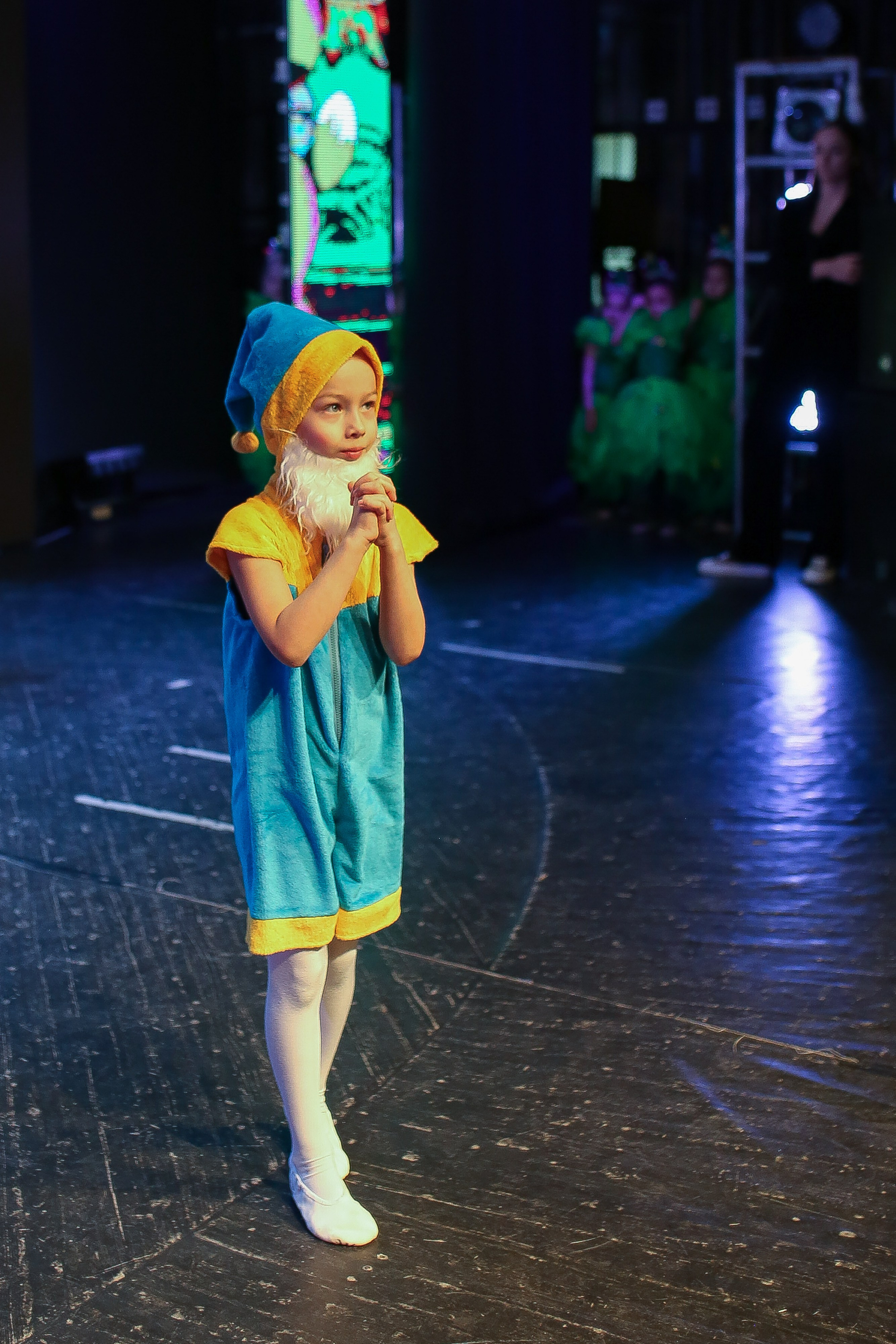 Новогодний концерт