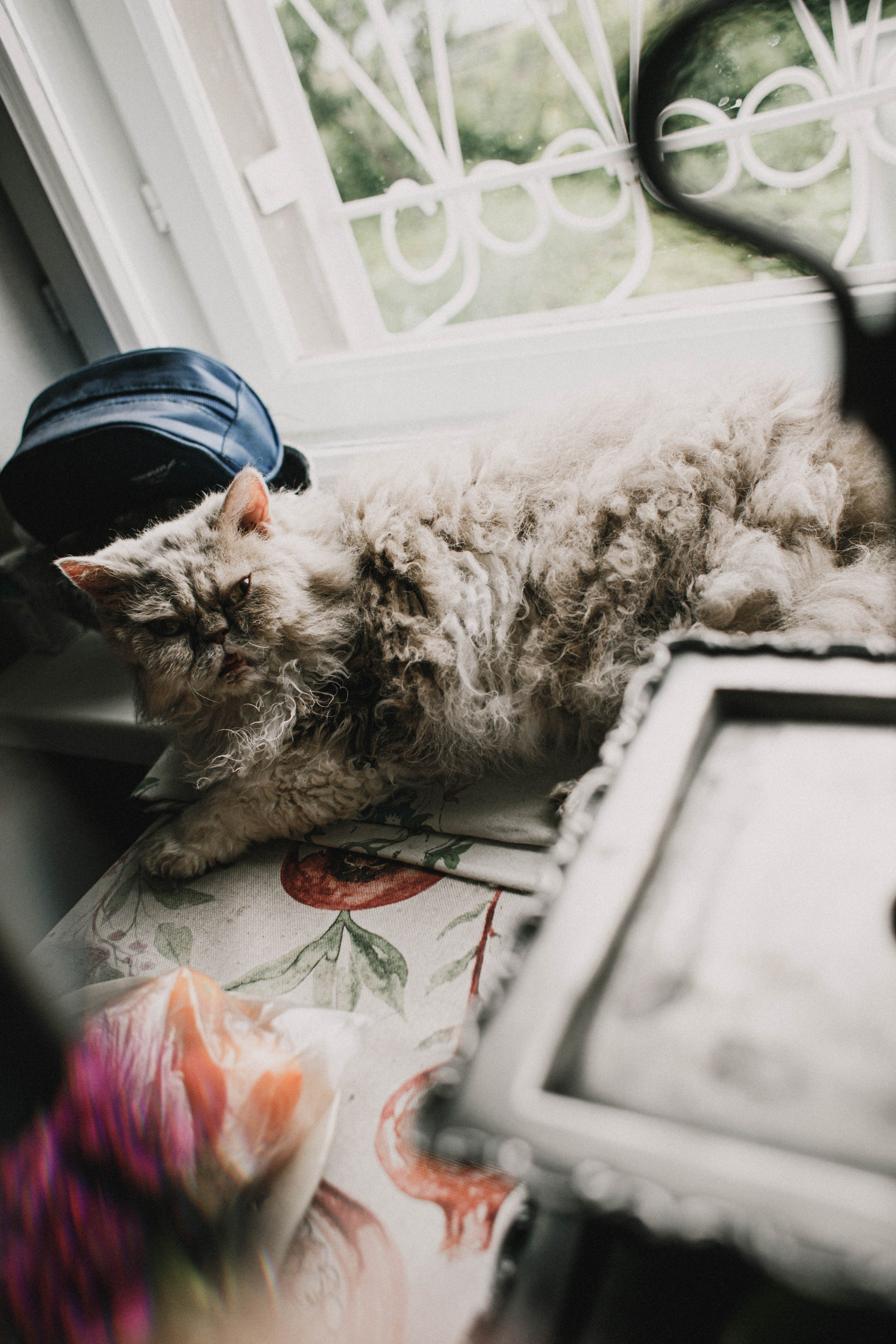 Сева у бабушки. Фотограф в Нижнем Новгороде