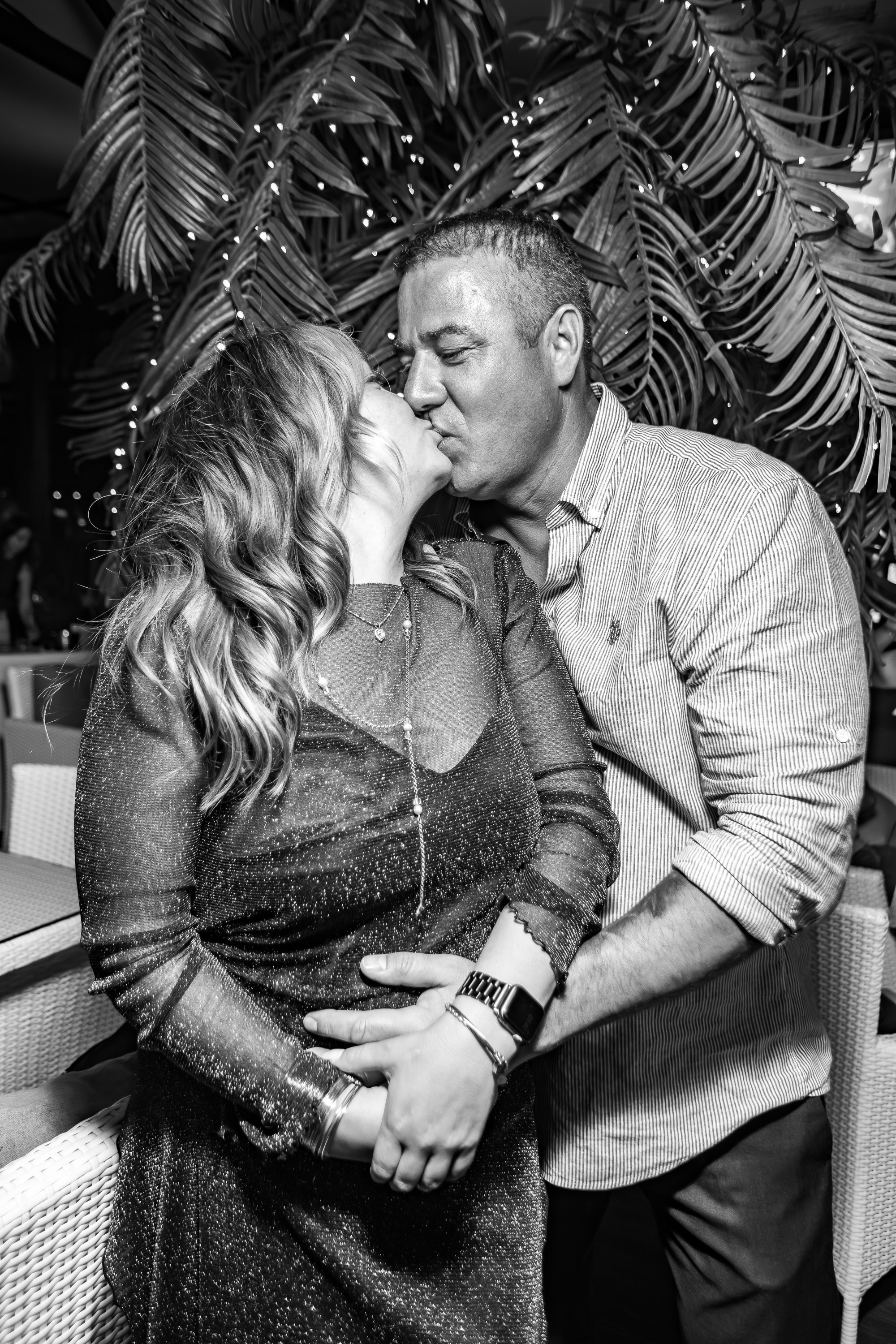 «Митя Фомин"_Чайка на пляже_Ялта_28.06.2025 г. Аминов Руслан | Фотограф