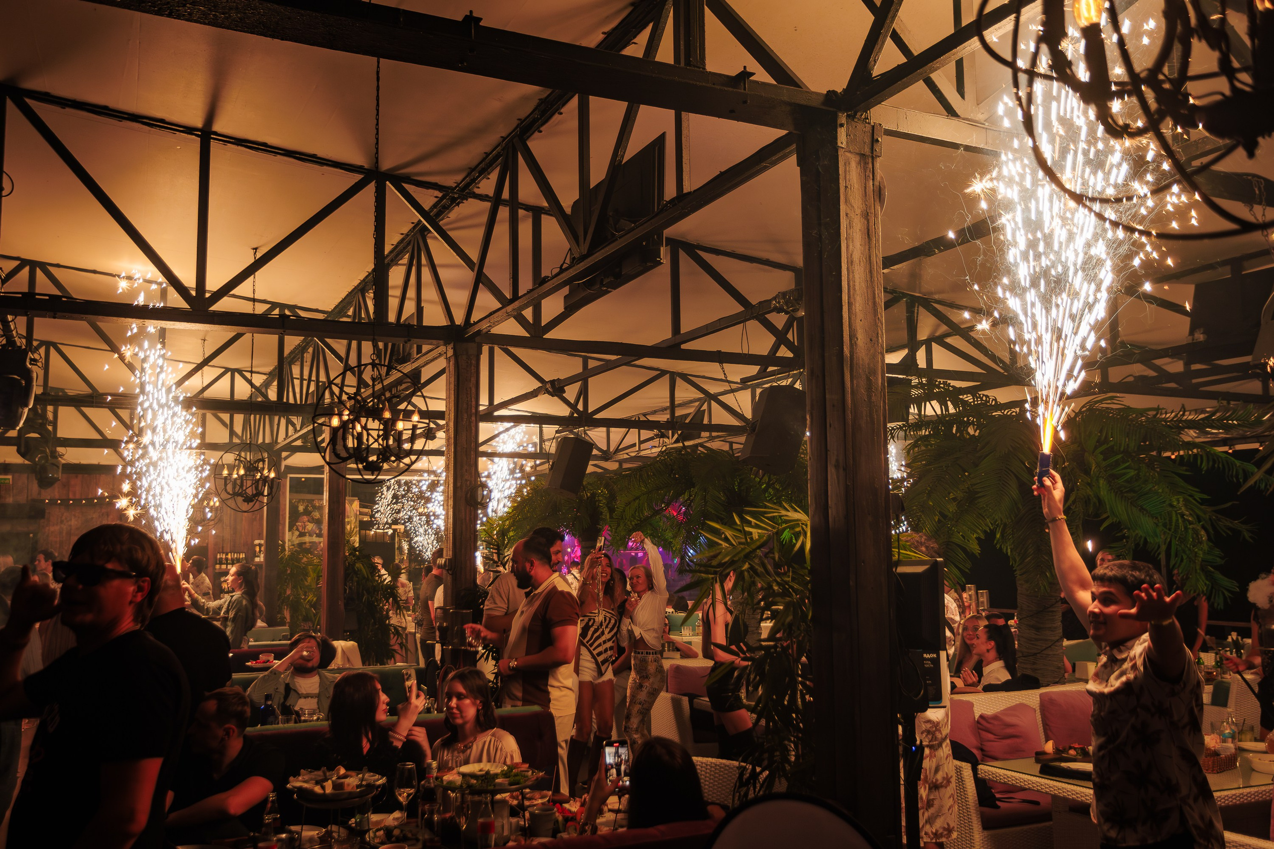 «КРАВЦ"_Чайка на пляже_Ялта_27.08.2025 г. Аминов Руслан | Фотограф