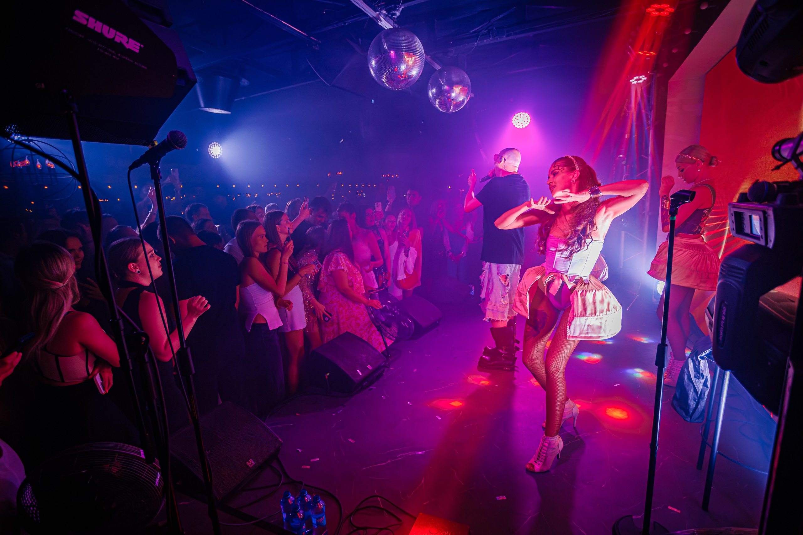 «Шура"_Чайка на пляже_Ялта_18.07.2025 г. Аминов Руслан | Фотограф