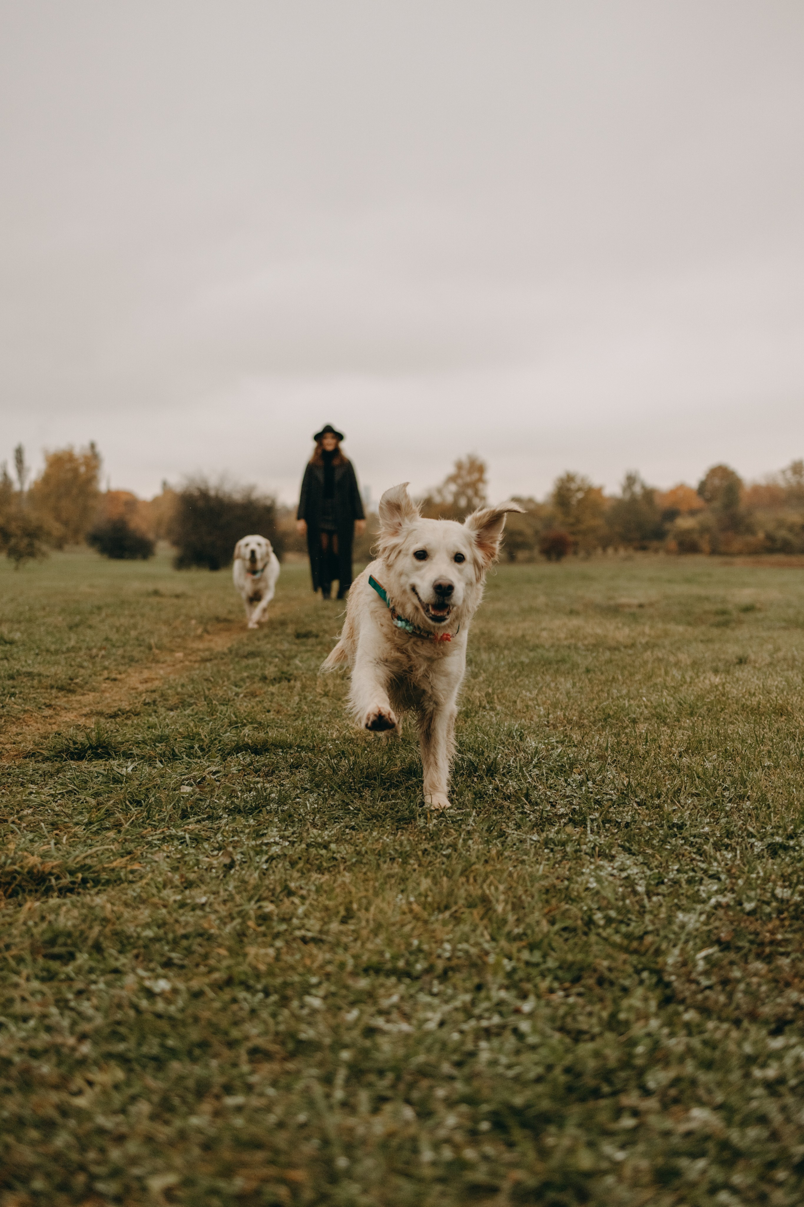 Женя и ее девочки. Фотограф — Анималист | Санкт-Петербург