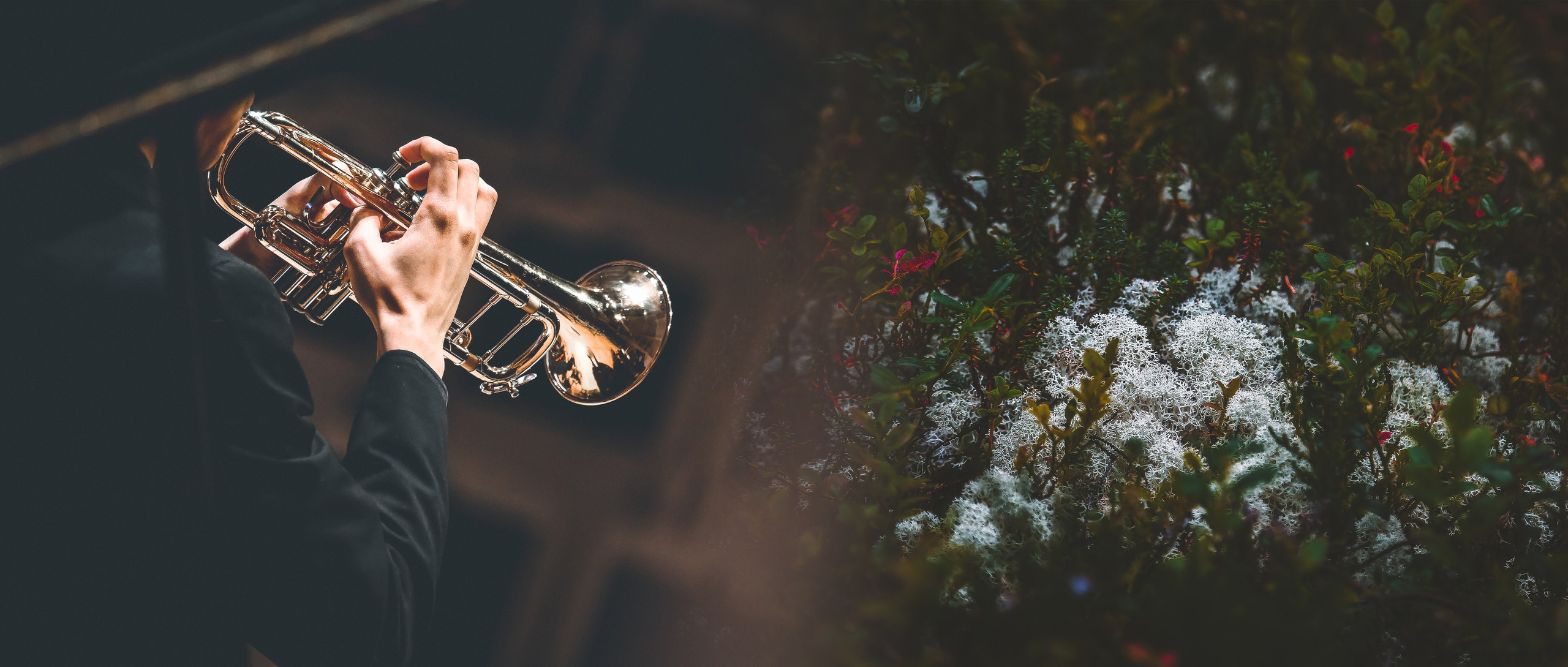 Дарья Письменюк / Darya Leitstern — фотограф, музыкант, журналист, путешественник