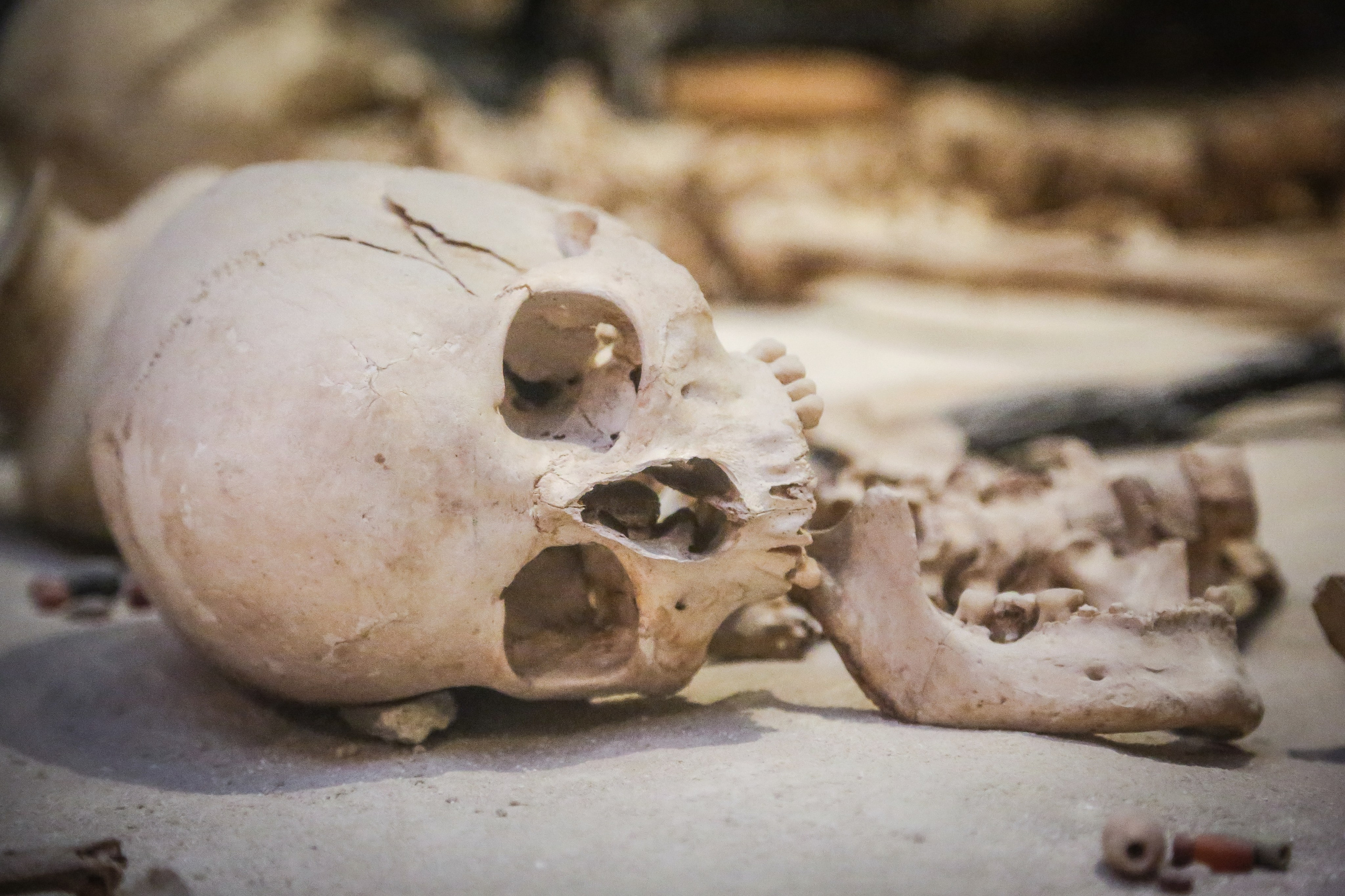 Англия: Лондон музейный. Дарья Письменюк / Darya Leitstern — фотограф, музыкант, журналист, путешественник