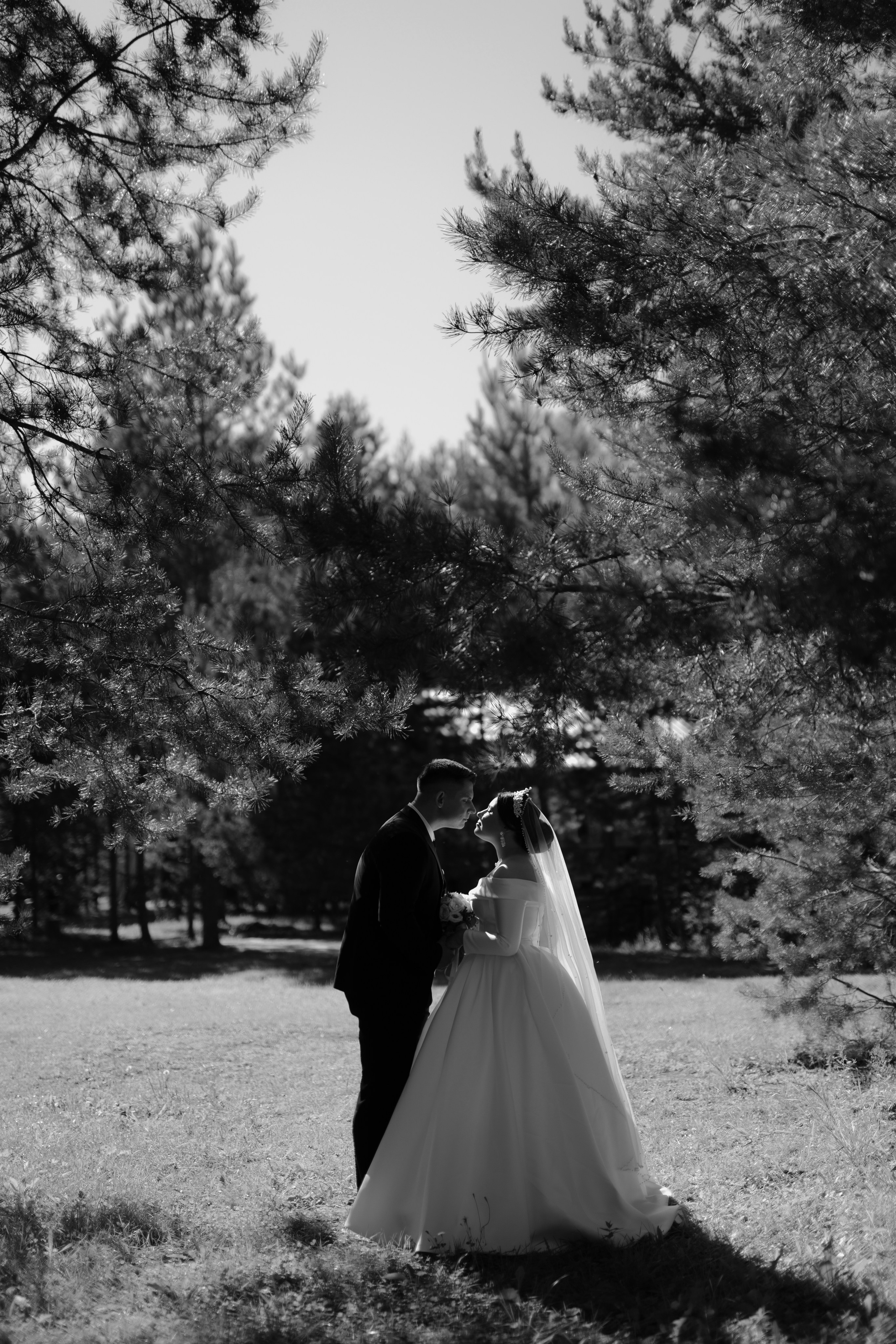 Свадьба Вадима и Дарьи. Фотограф Кольчугино/Владимир/Москва Елизавета Иода