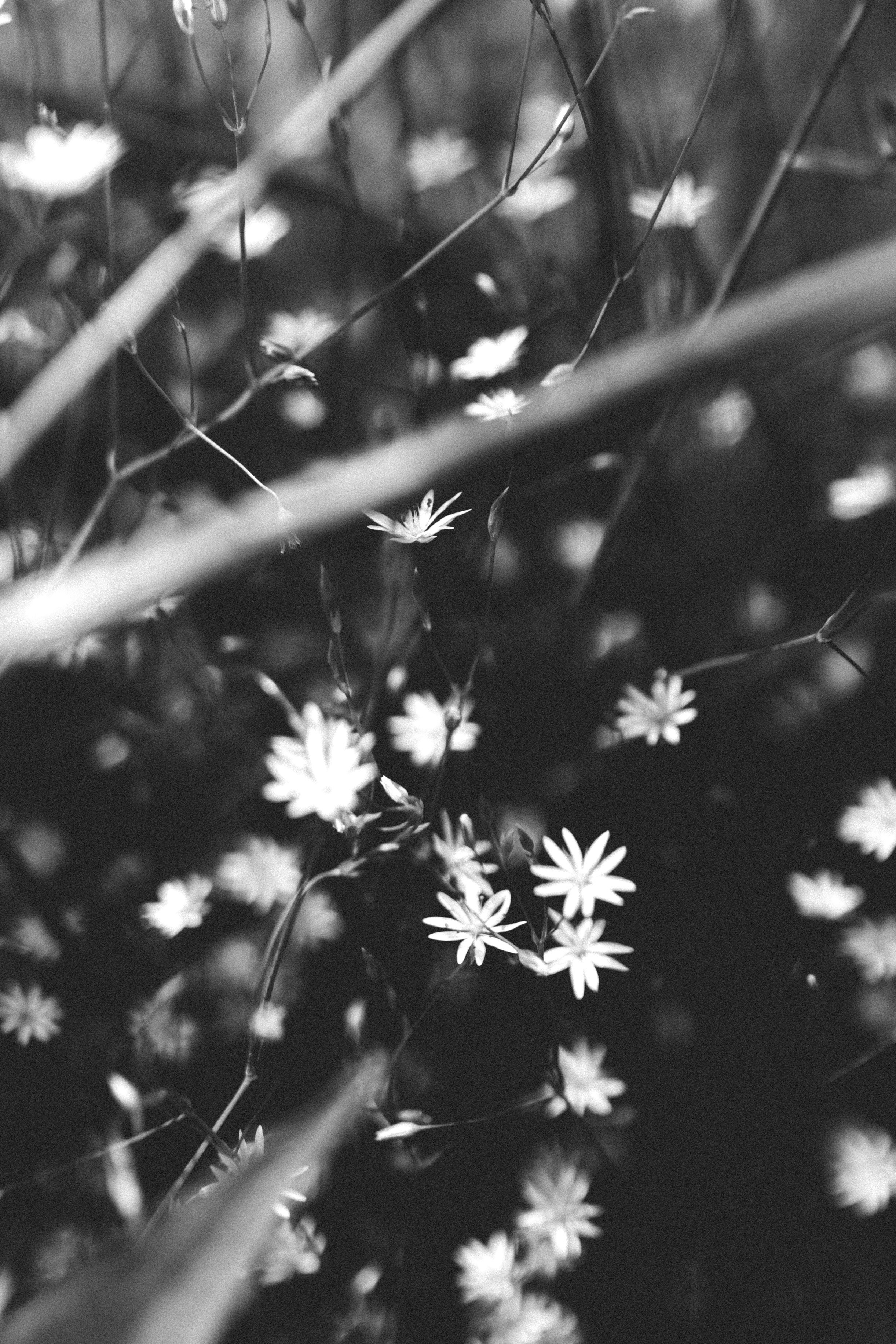 Ксюша. Фотограф в Нижнем Новгороде Кристина Батанова