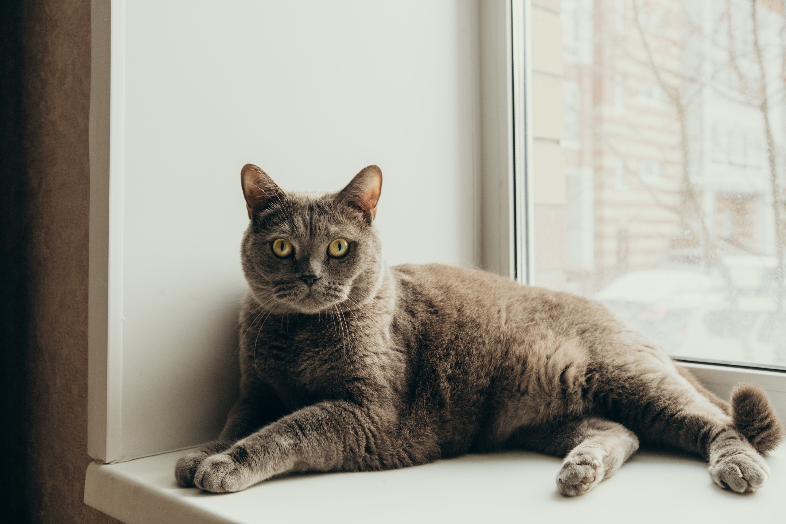 Илья и Мария домашняя. Фотограф Евгения Войко Тюмень