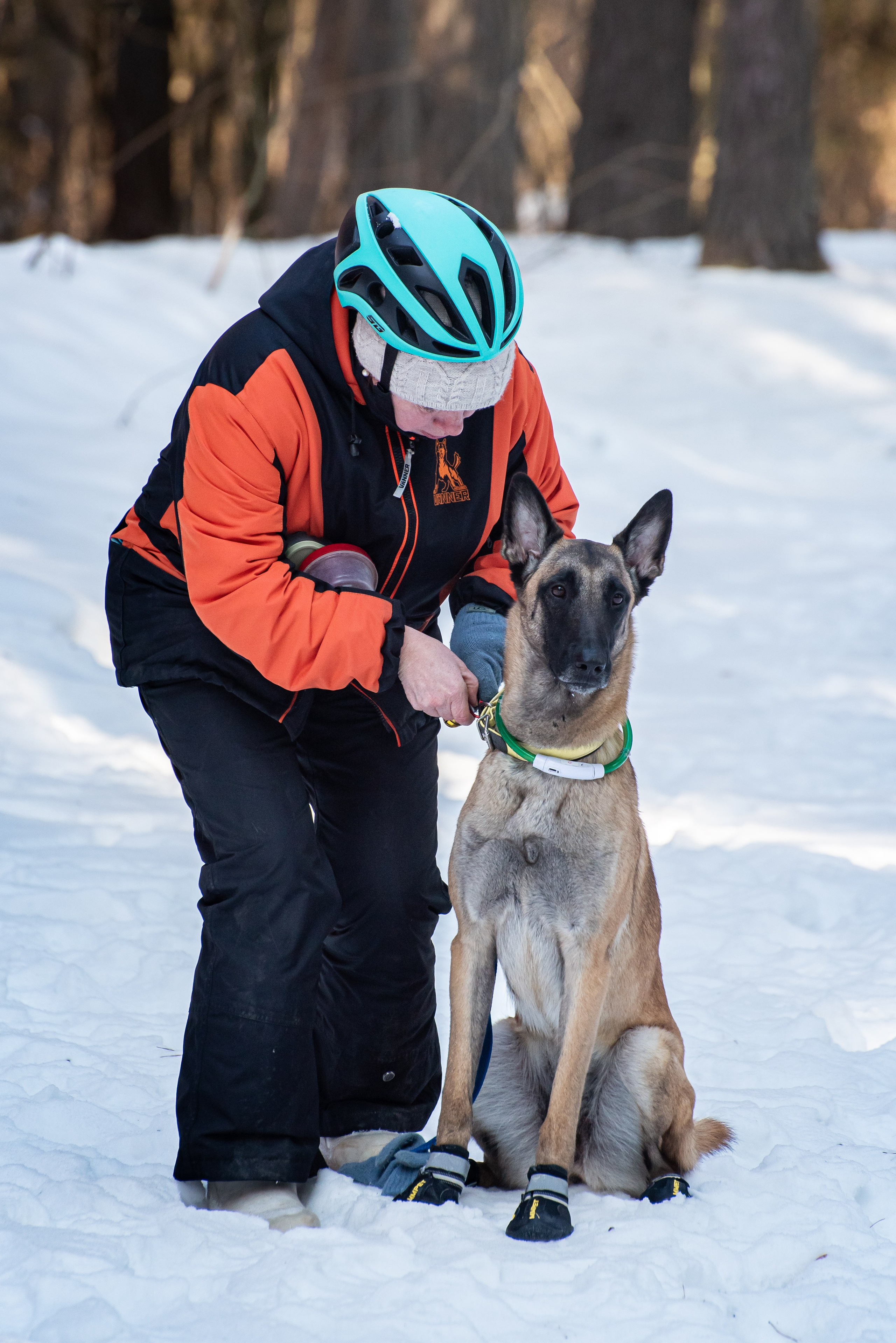 Фотосъёмка с собаками в Кинологическом лагере. Фотограф Макс Огурцов в Нижнем Новгороде