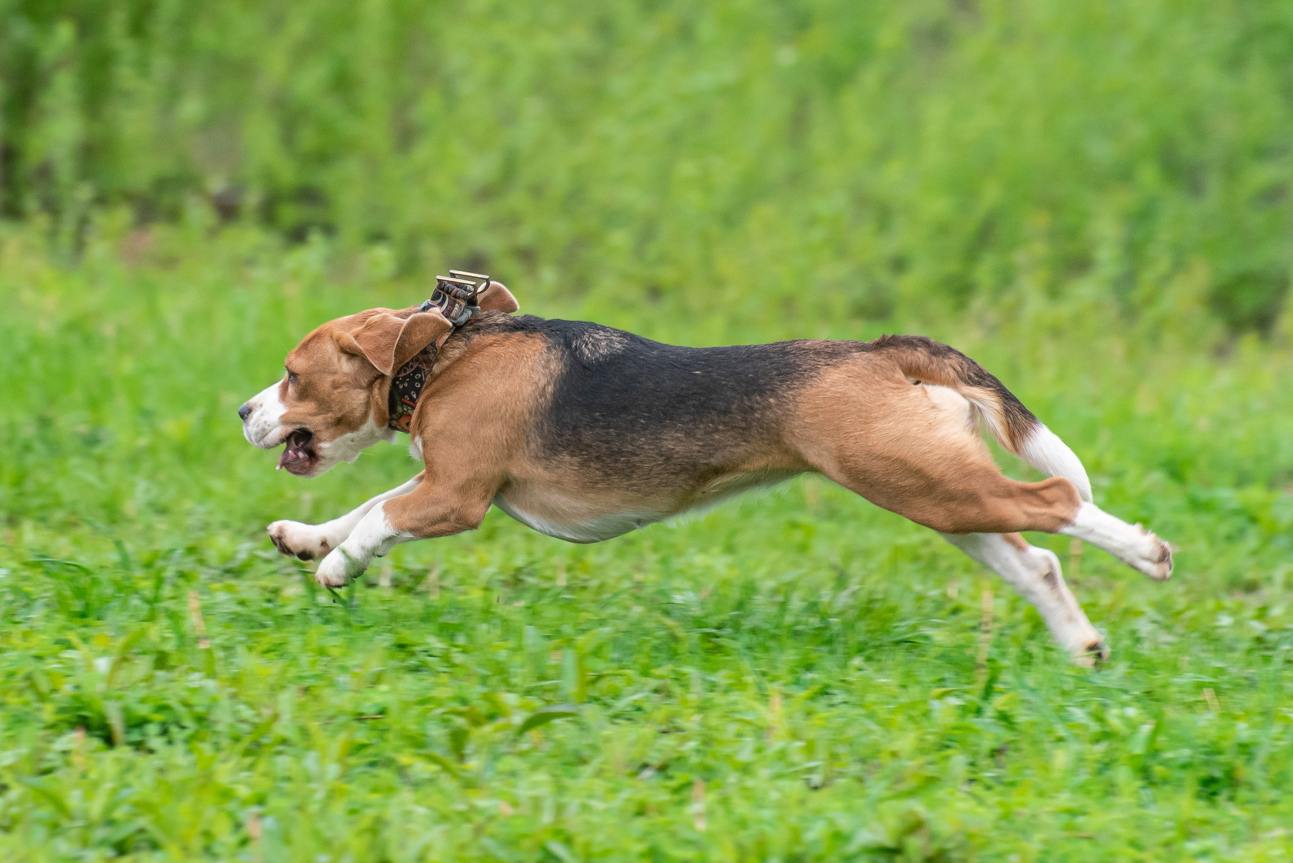 Фотографии с Курсинга. Фотограф Макс Огурцов в Нижнем Новгороде