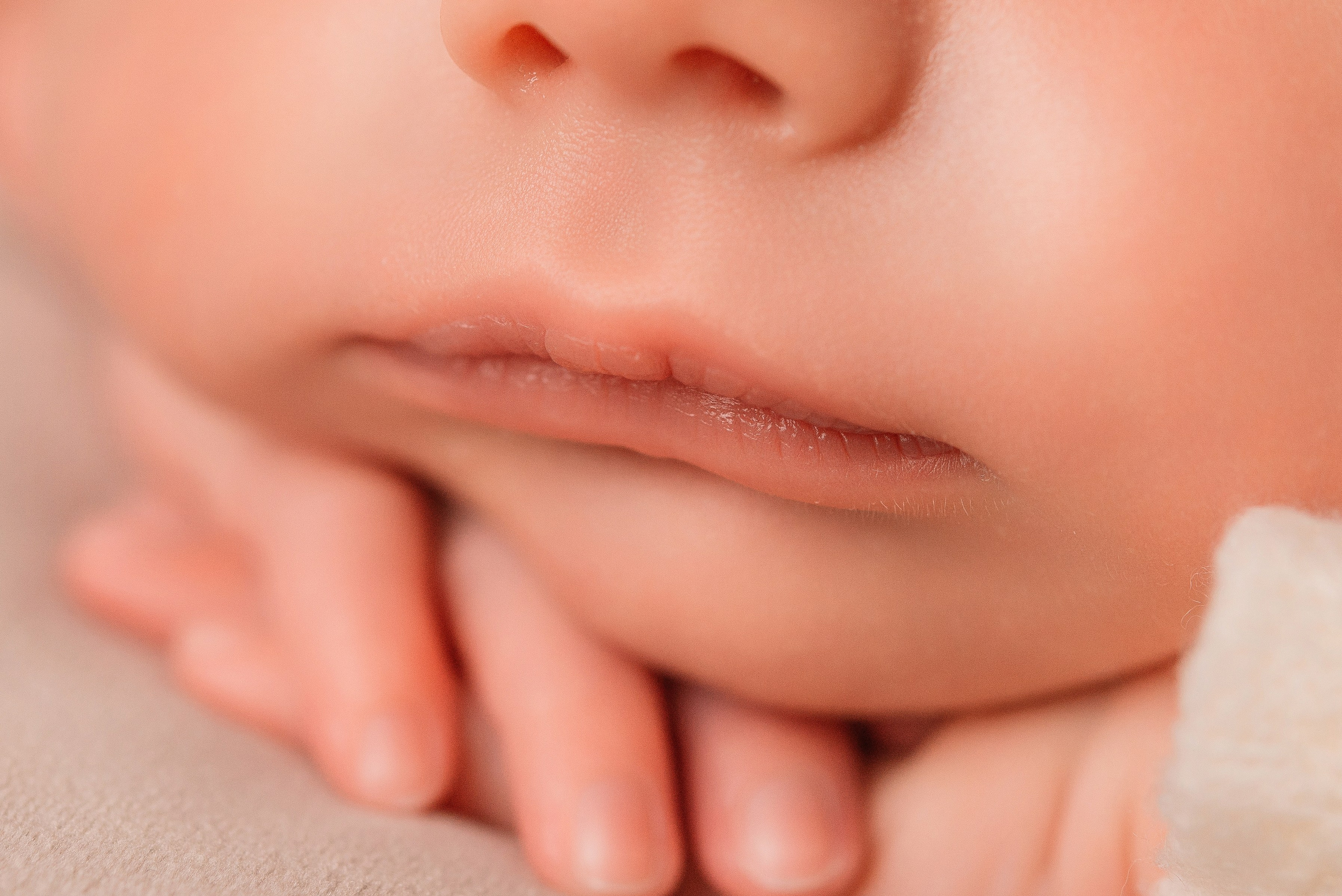 Федя. Фотограф новорожденных Белгород