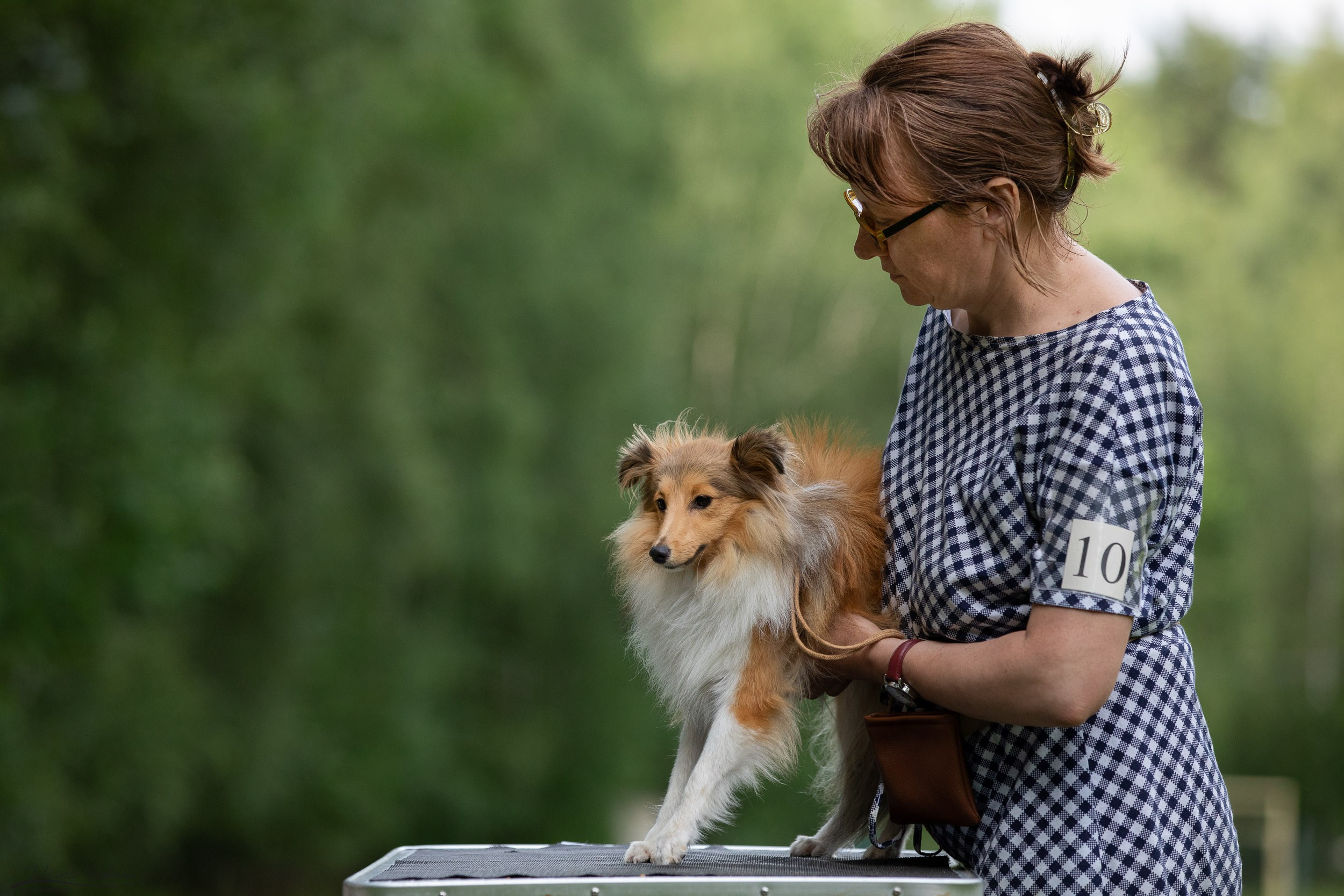 Репортаж с выводки молодняка колли/шелти в Ясенево. Фотограф-анималист в Москве и Московской области Татьяна Фролова
