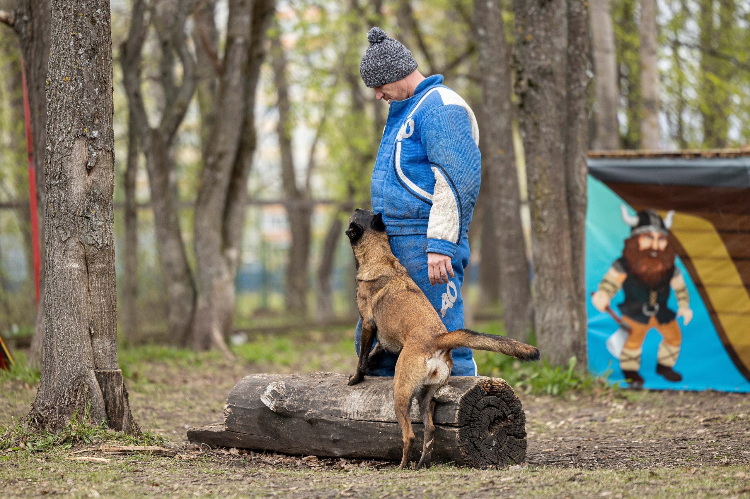 Квалификационные состязания по мондьорингу г. Вологда 11.05.24. Фотограф-анималист Анна Маринич