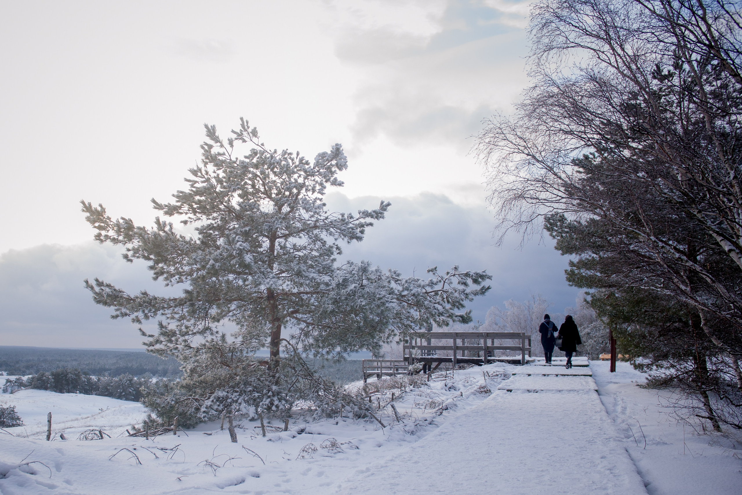 ФОТОПРОГУЛКИ. Фотограф Вера Демидкова
