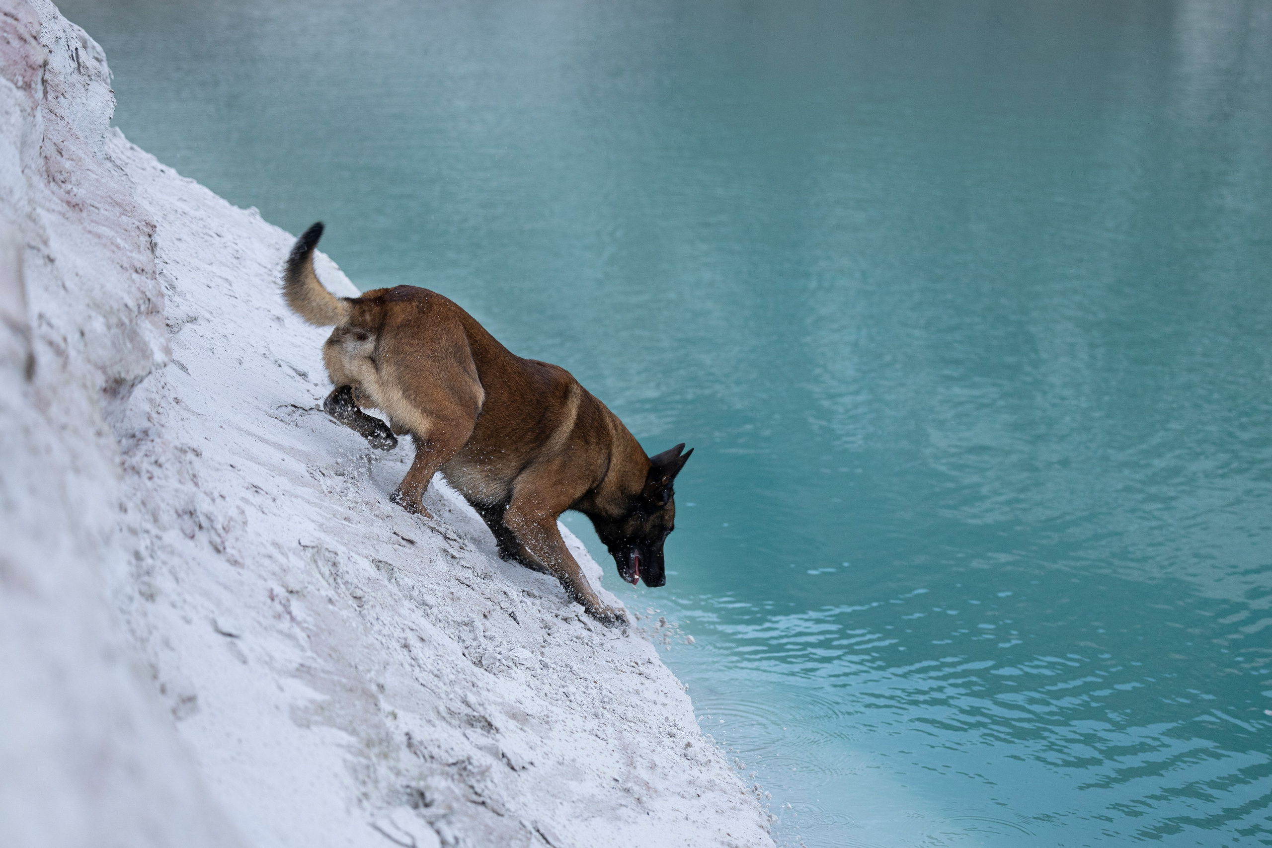 Лужские Мальдивы. Фотограф-анималист Анна Маринич