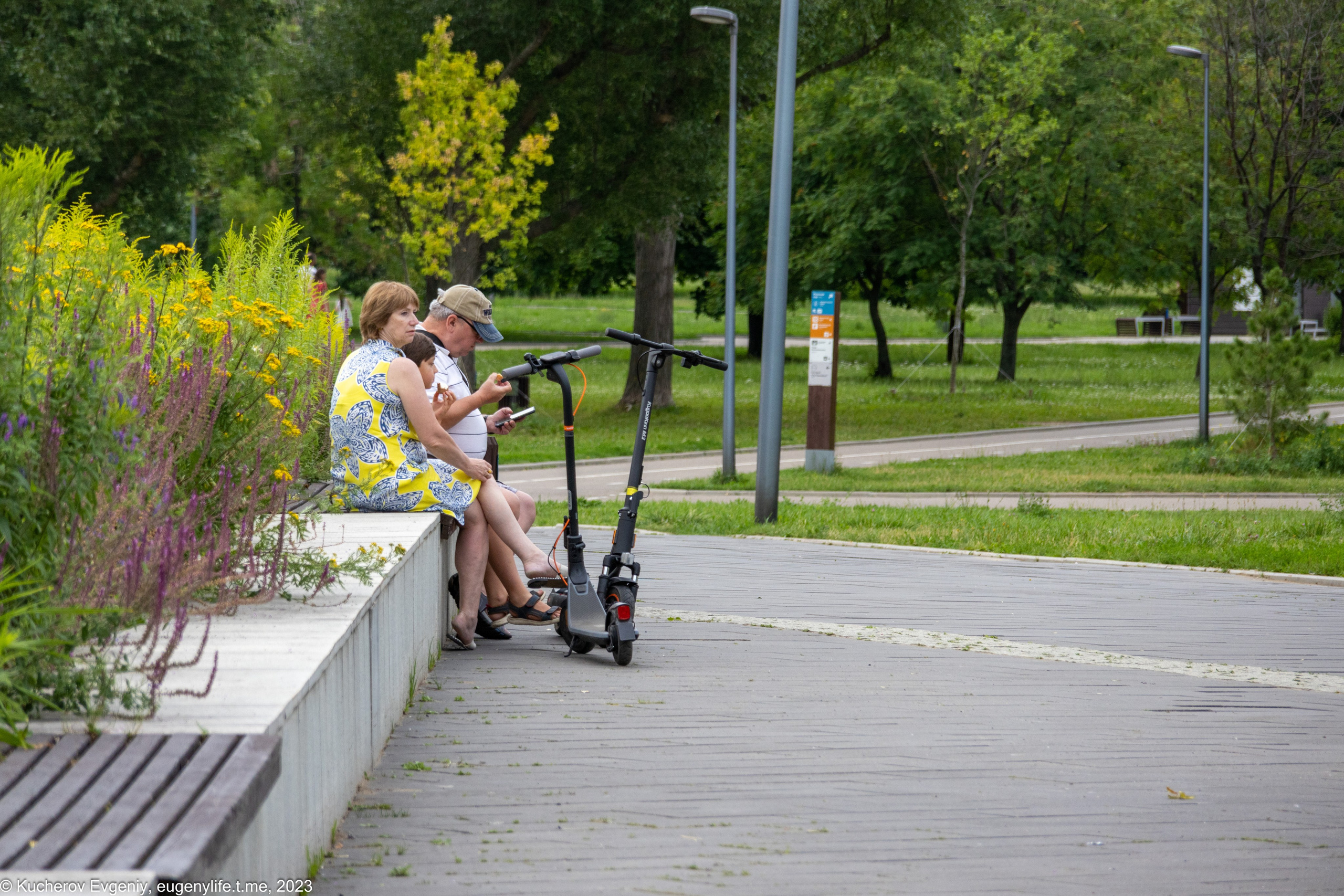 Скамейки. Кучеров Евгений. Фотограф