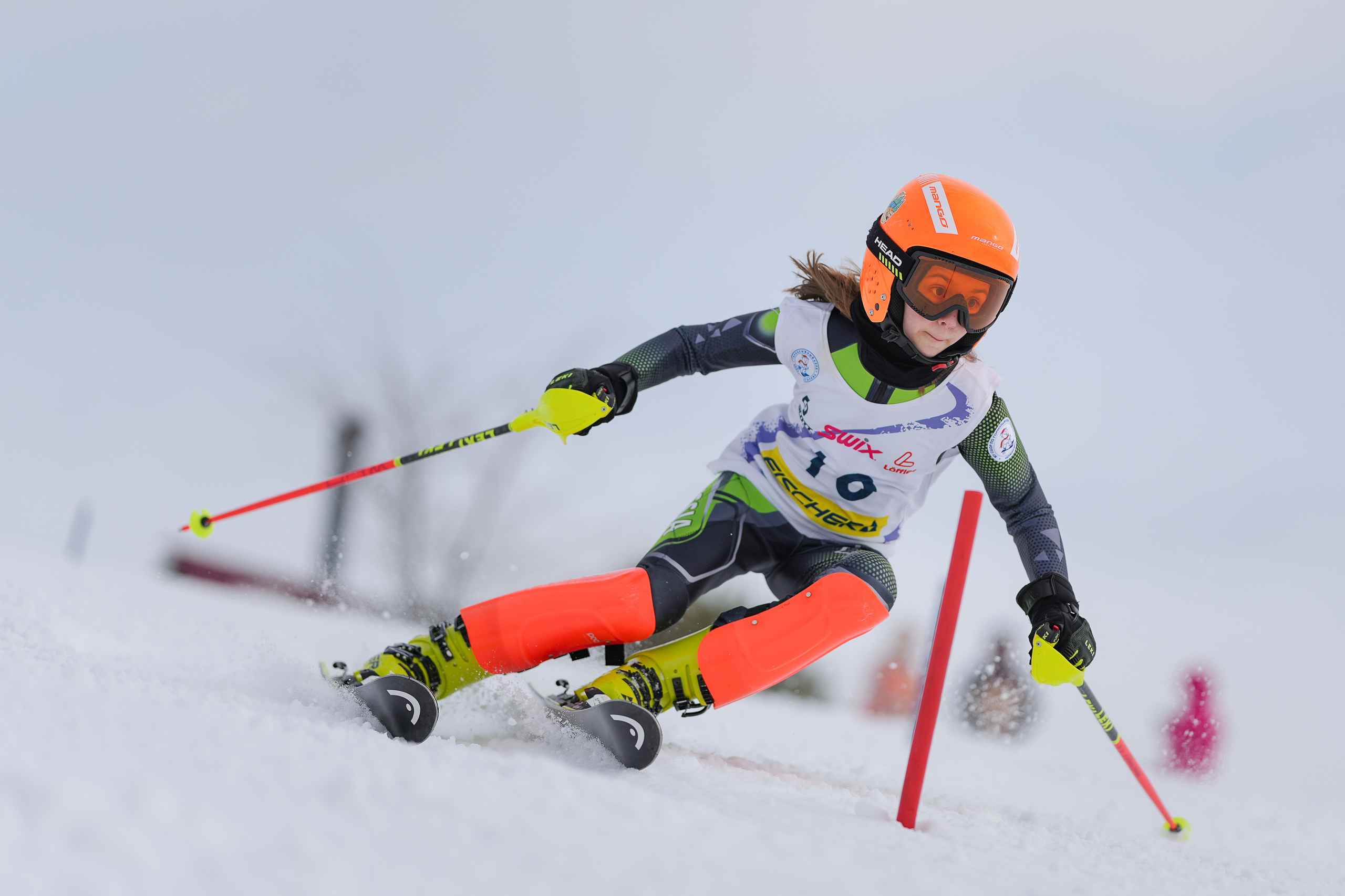 SL (Slalom) - Слалом. Соревнования по горнолыжному спорту. Московская область, Шуколово