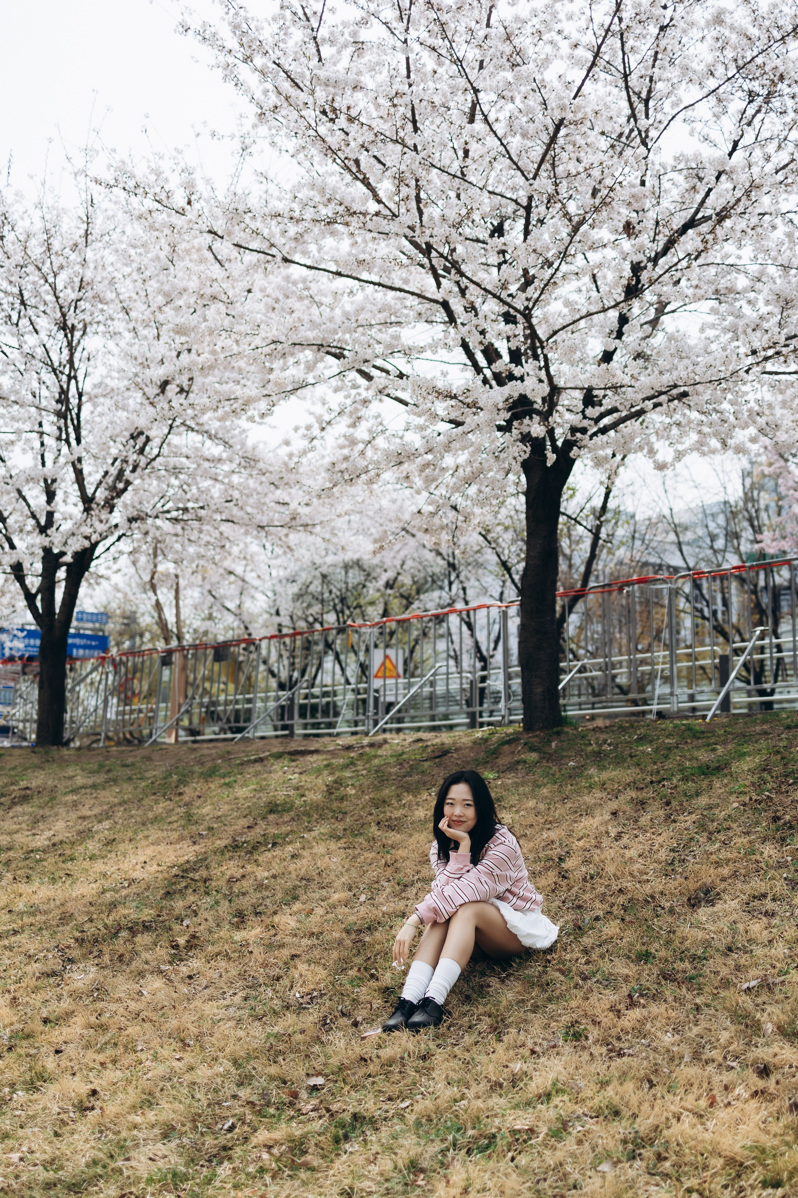 Диша🌸. Фотограф Артем Бросов в Санкт-Петербурге и Дубае