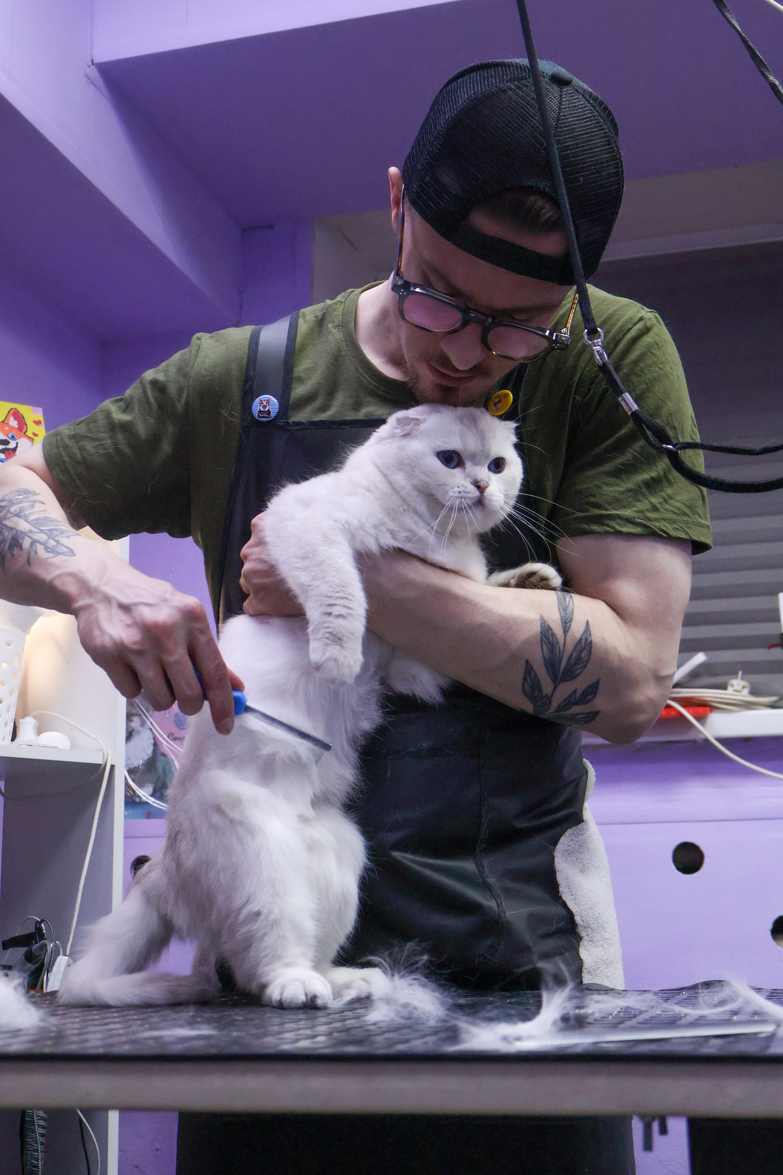 Усы, лапы, хвост. Фотограф ChelFedor