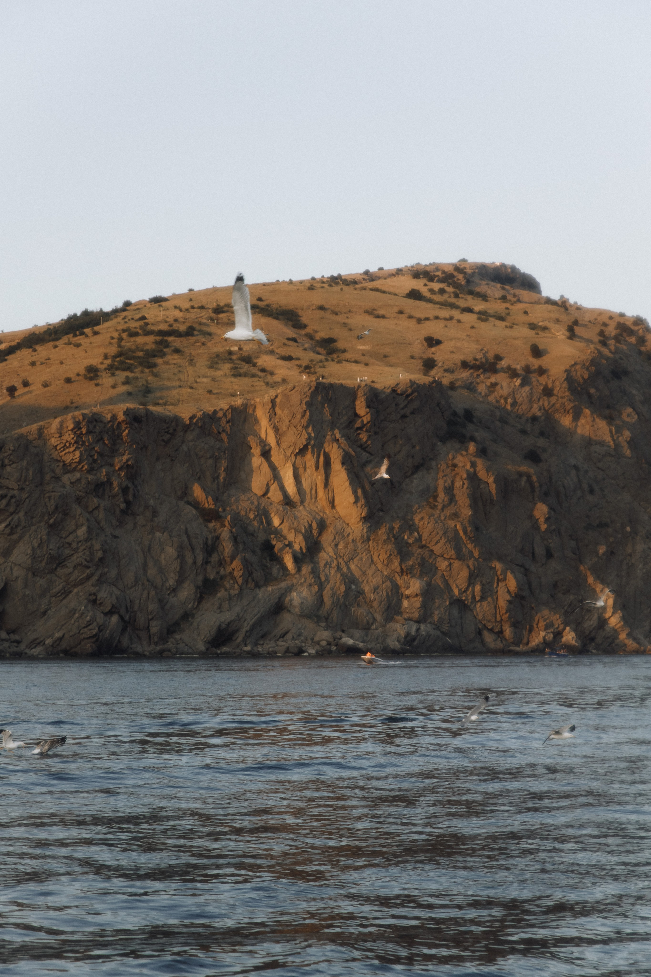Susanna & Grigoriy. Свадебный фотограф в Севастополе и Крыму| Tanya Sher