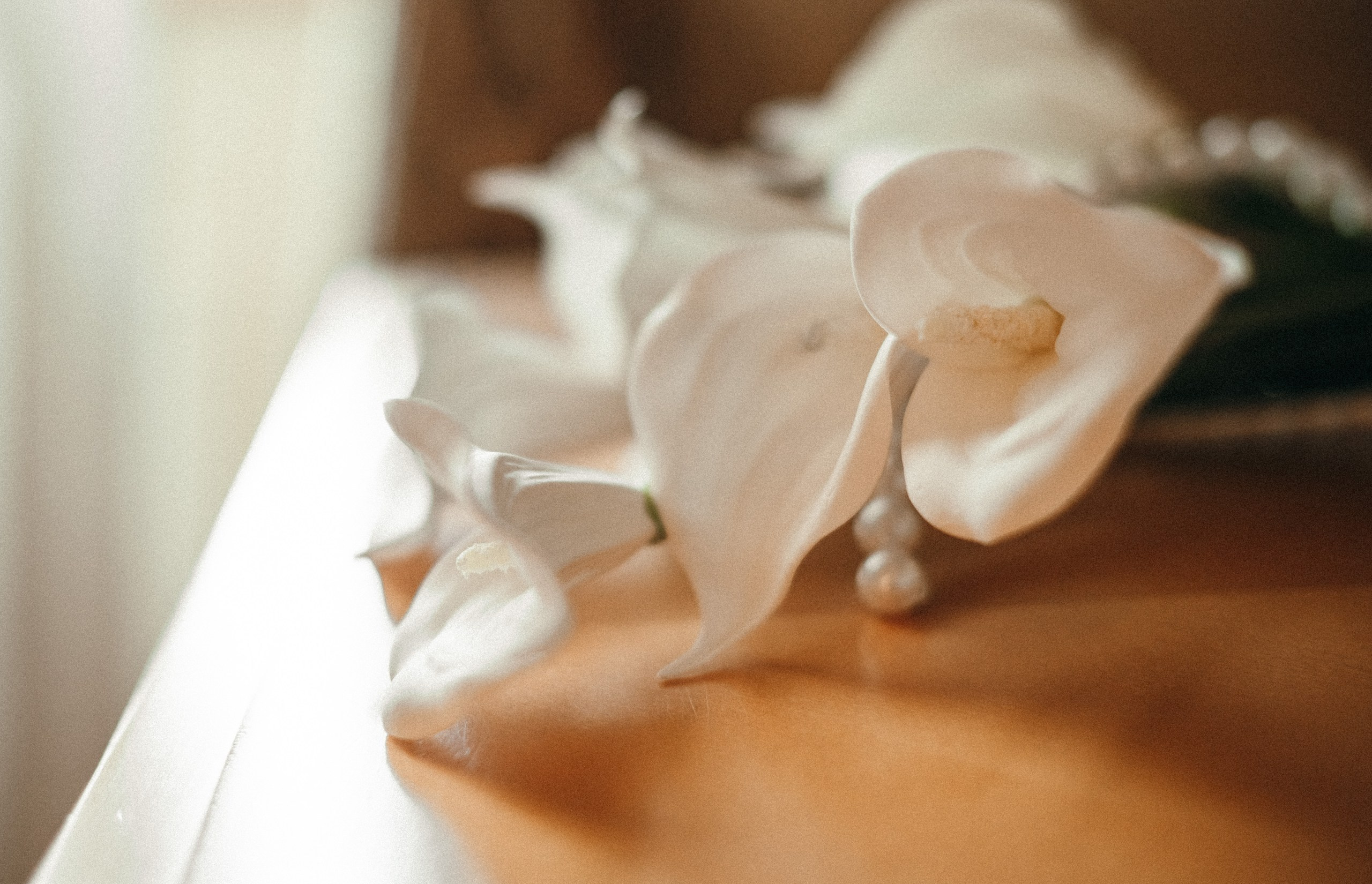 Татьяна Рыбалко. Фотограф в России, Семейный фотограф, репортажный фотограф, детский фотограф, портретный фотограф, контент фотограф, универсальный фотограф