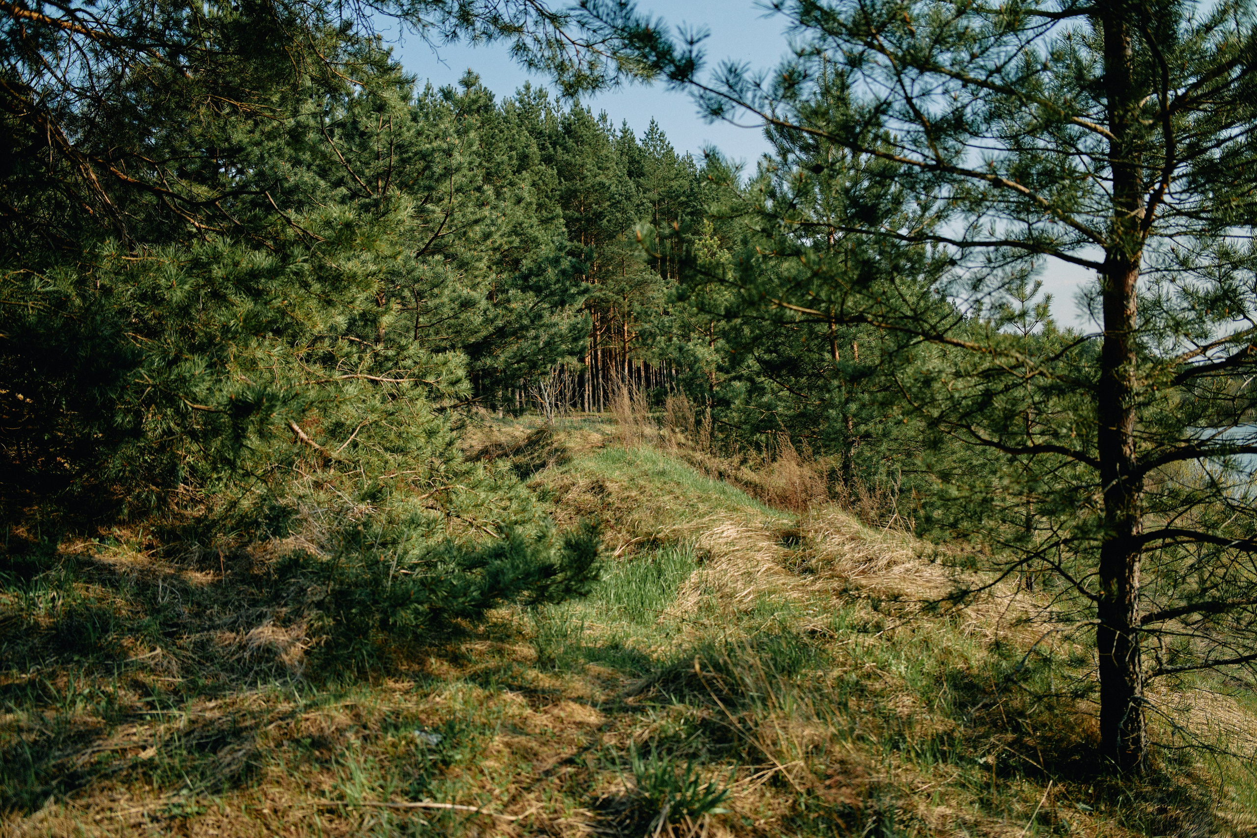 Бутик-отель Поле летом. Профессиональный Фотограф во Владимире, в Москве и в Суздале — Полина Романычева