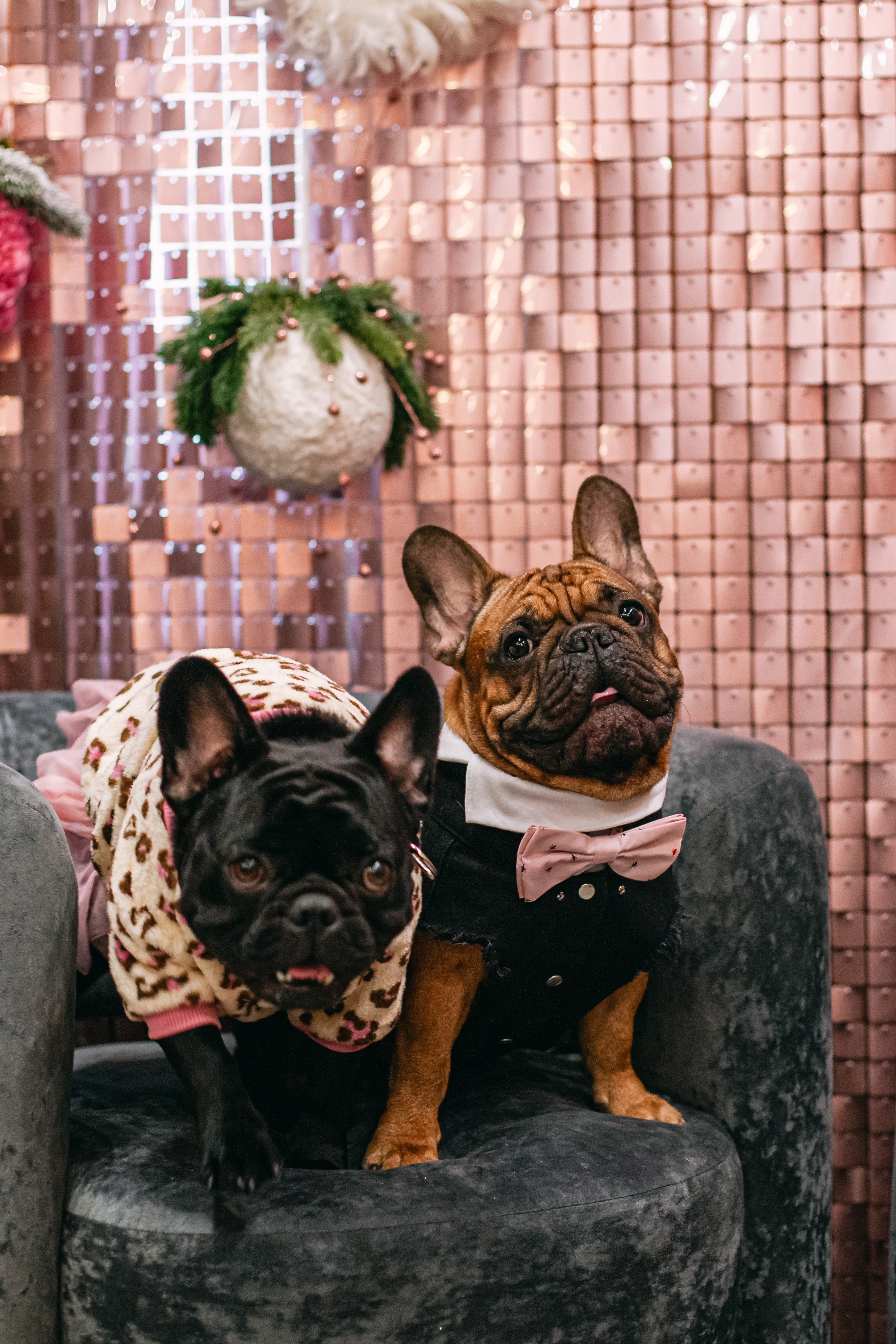 Бульёлка 2024. Фотограф-анималист Татьяна Степанова