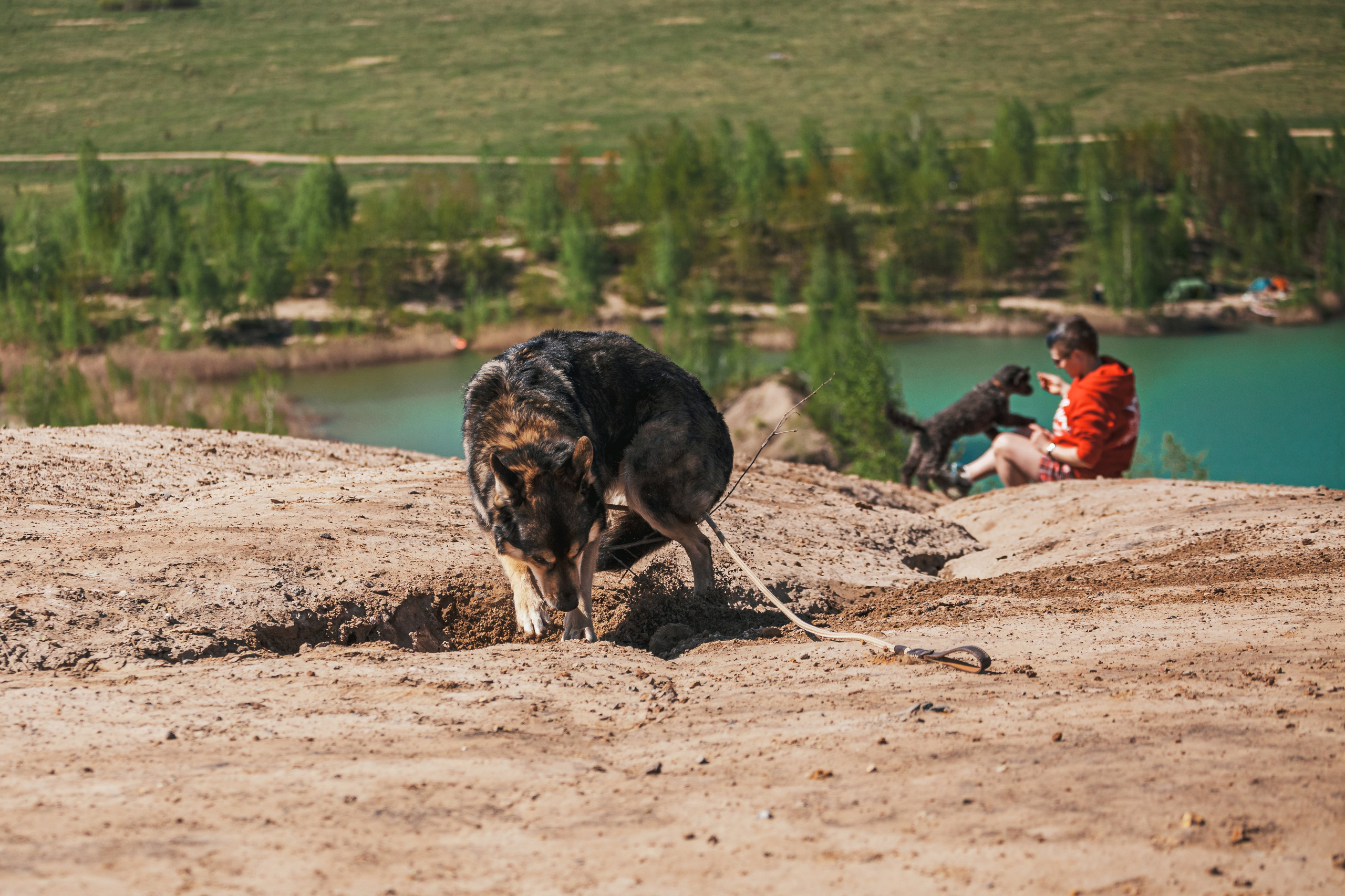 Кондуки. Фотограф-анималист Татьяна Степанова