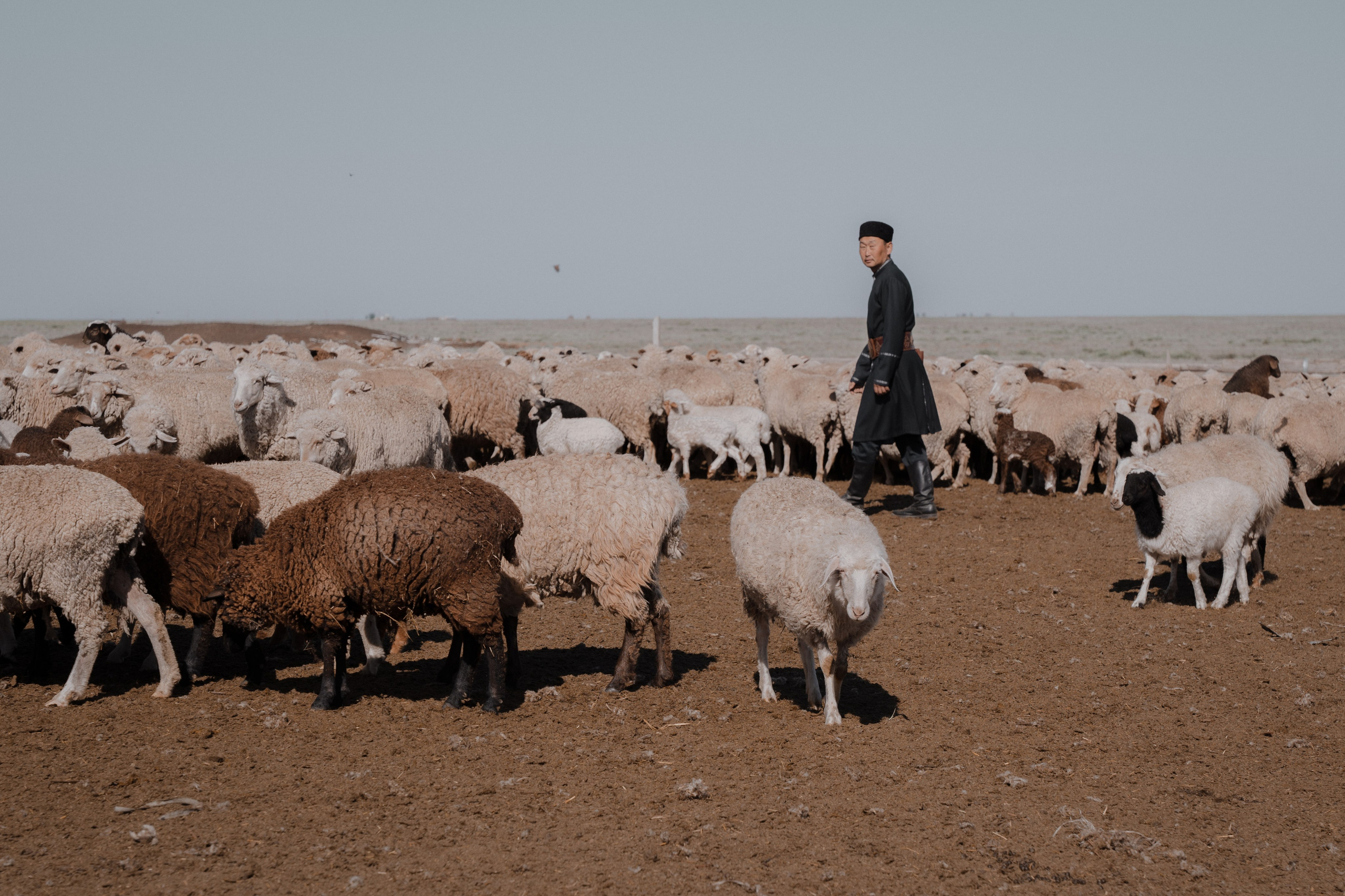 Калмыкия I Май 2024. Commercial photographer Natalia Bychkova