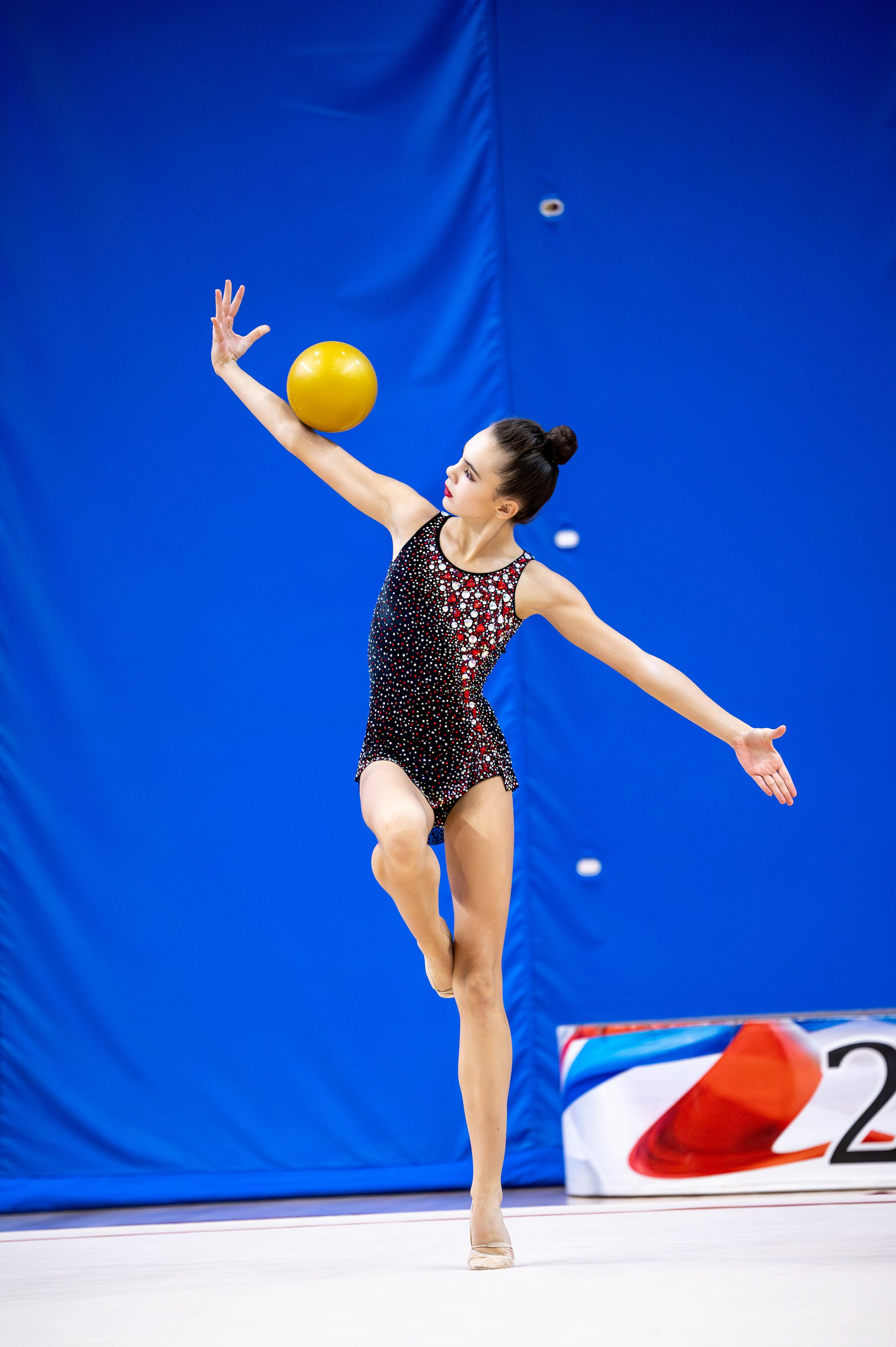 ЧиП Тульской области, ноябрь 2024. Спортивный фотограф в Туле и Тульской области. Файсханова Фото Спорт