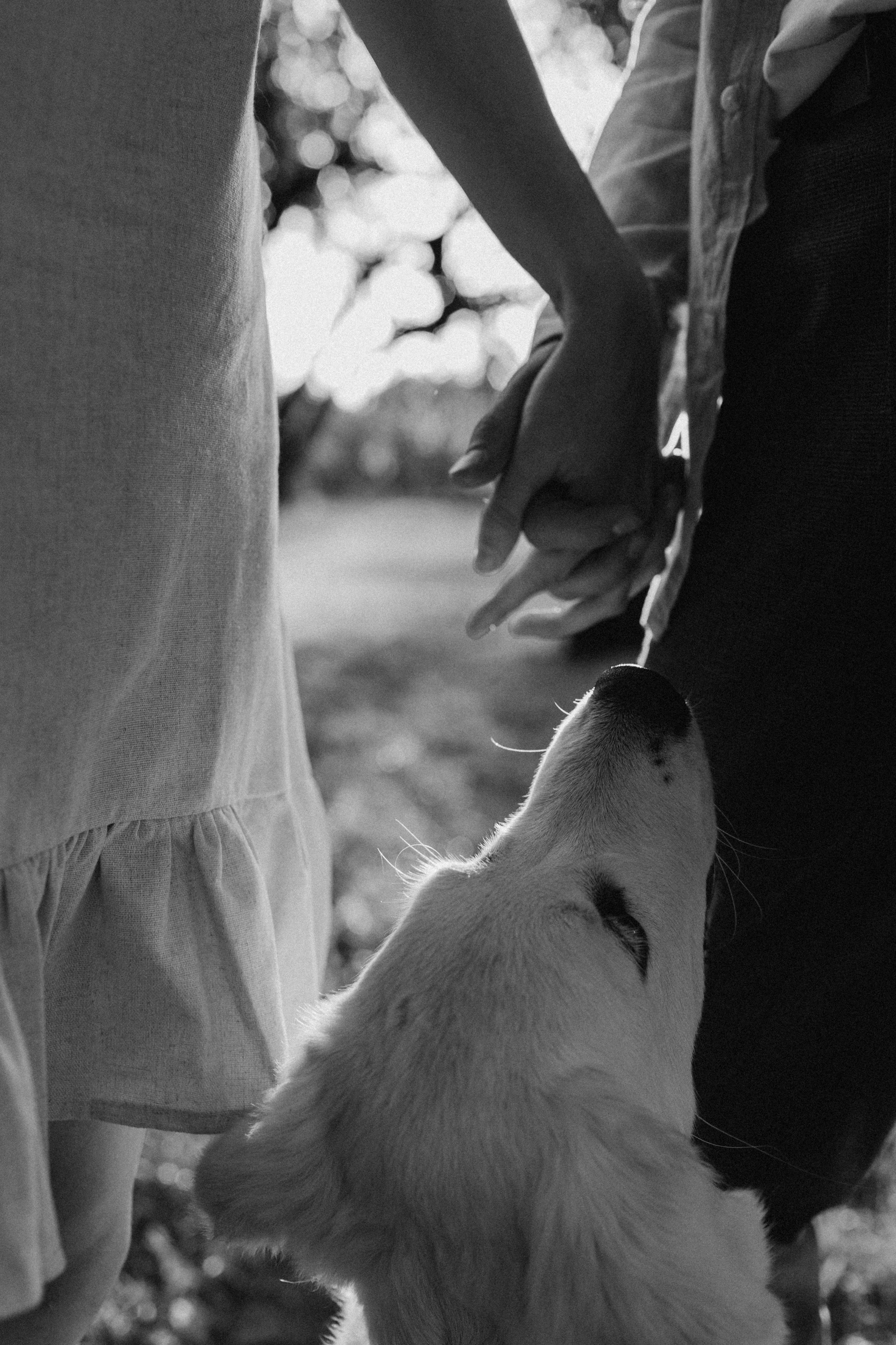 Алеся & Саша. Семейный фотограф в Москве