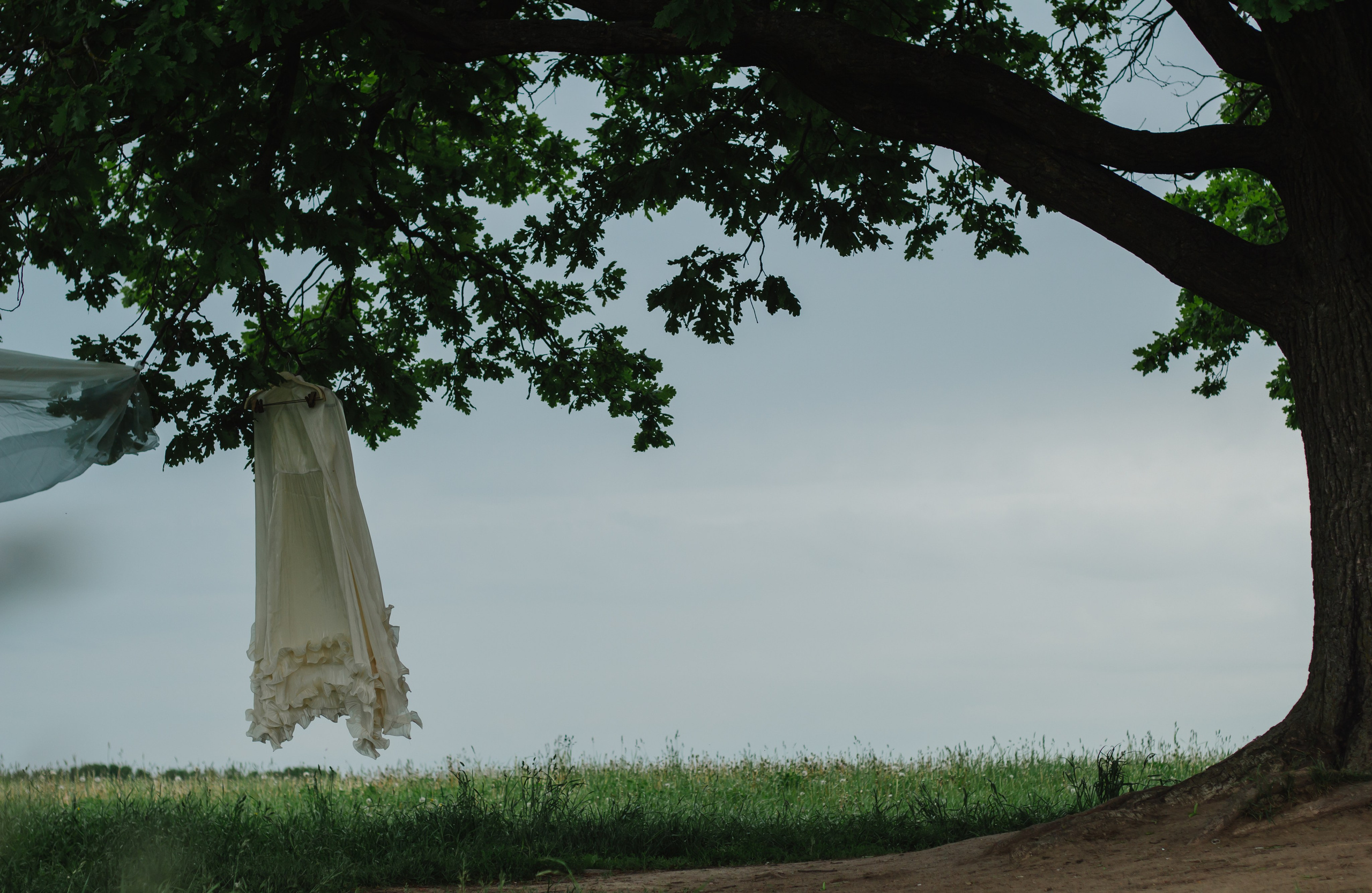Съемка в поле, летняя фотосессия. Ольга Степанова фотограф визажист в Санкт-Петербурге