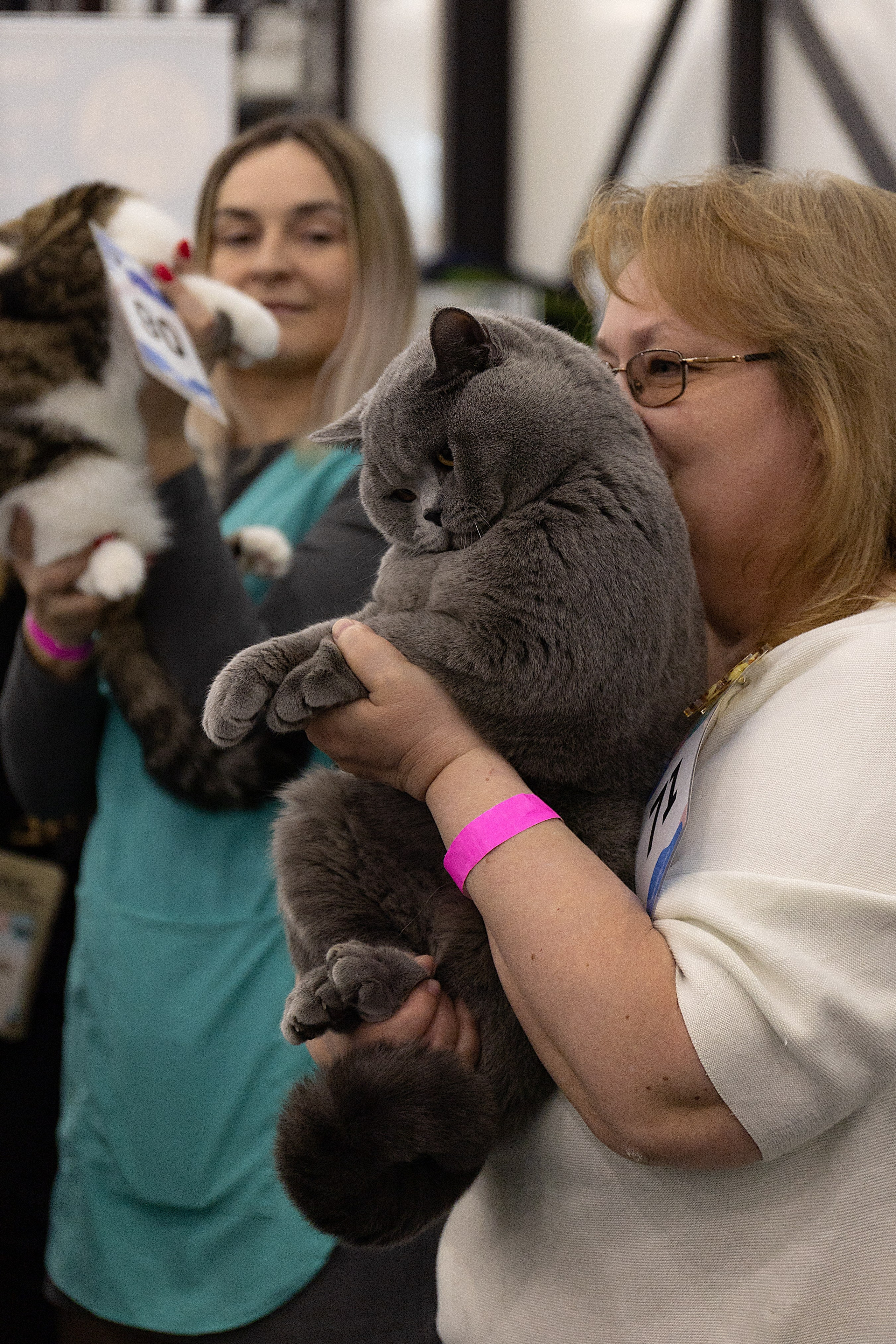 Анималистика