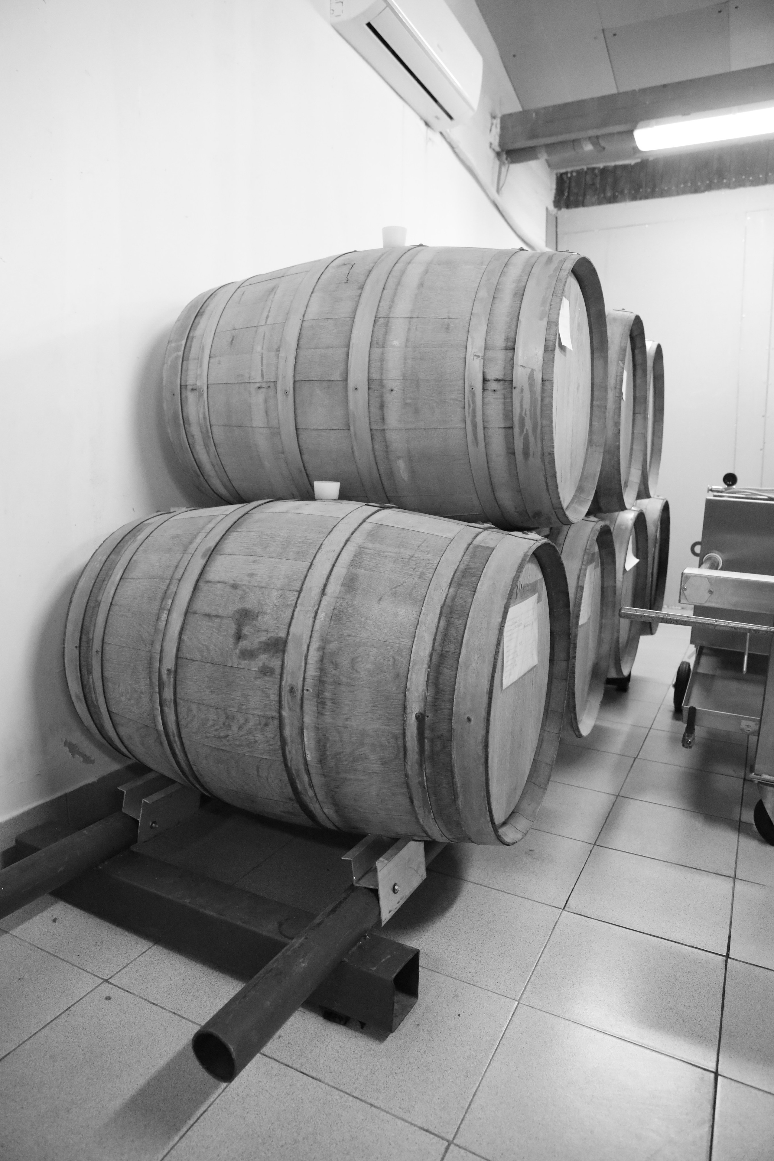 Репортажная съемка. Фотограф Елена в Волгограде