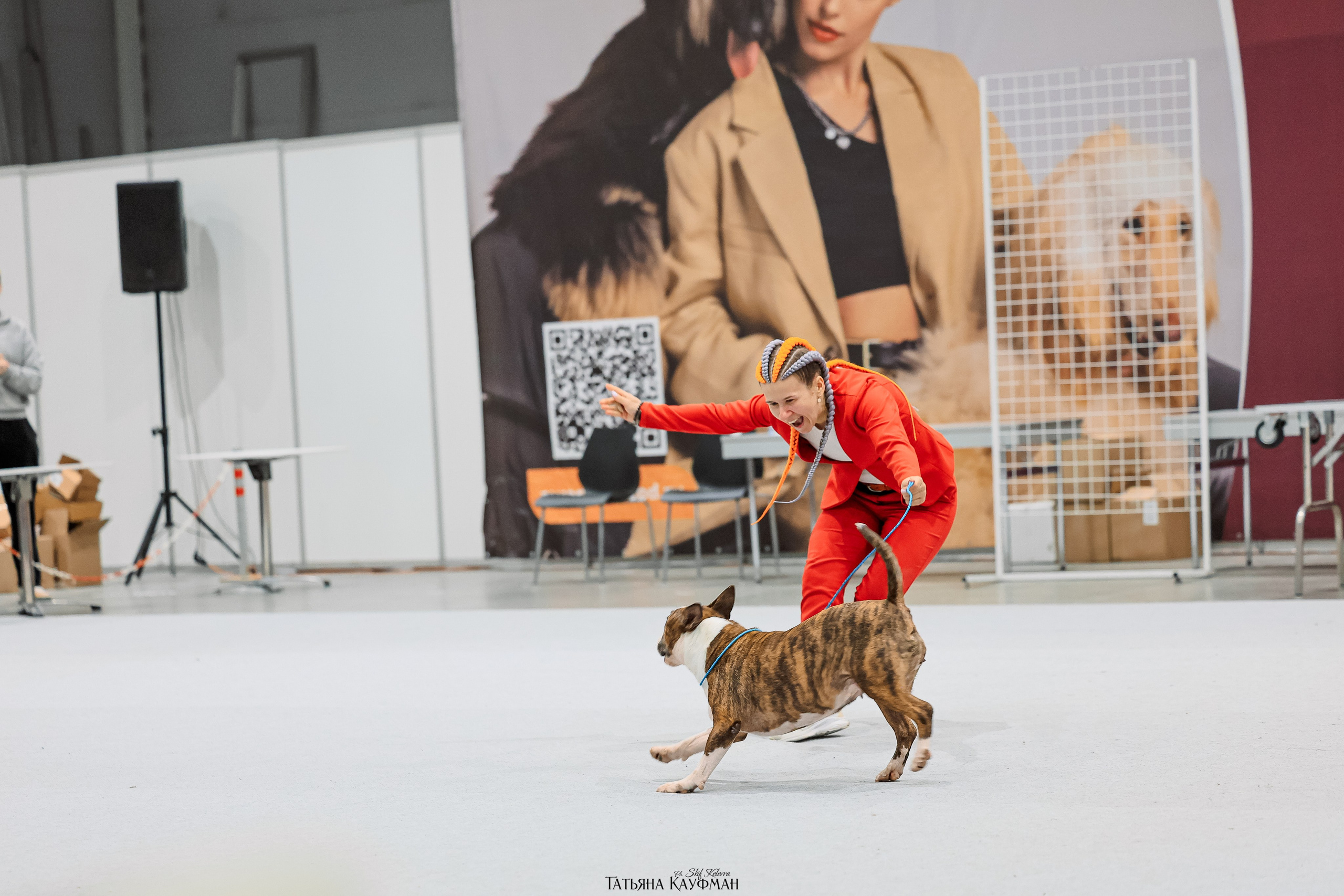 28-29.03.2026 Рейтинговая выставка в Новосибирске. Фотограф Анималист из Новосибирска Татьяна Кауфман