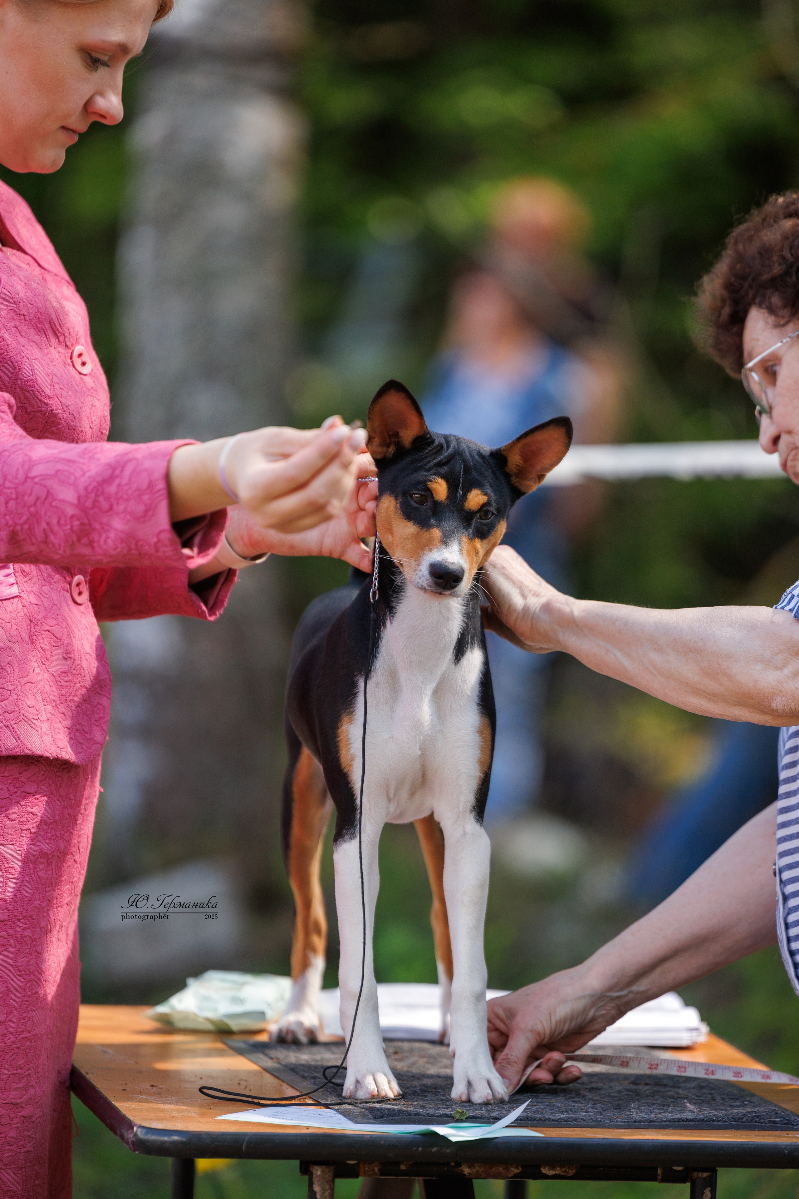 Тверь 24.05.2025. Фотограф-анималист Юлия Германика
