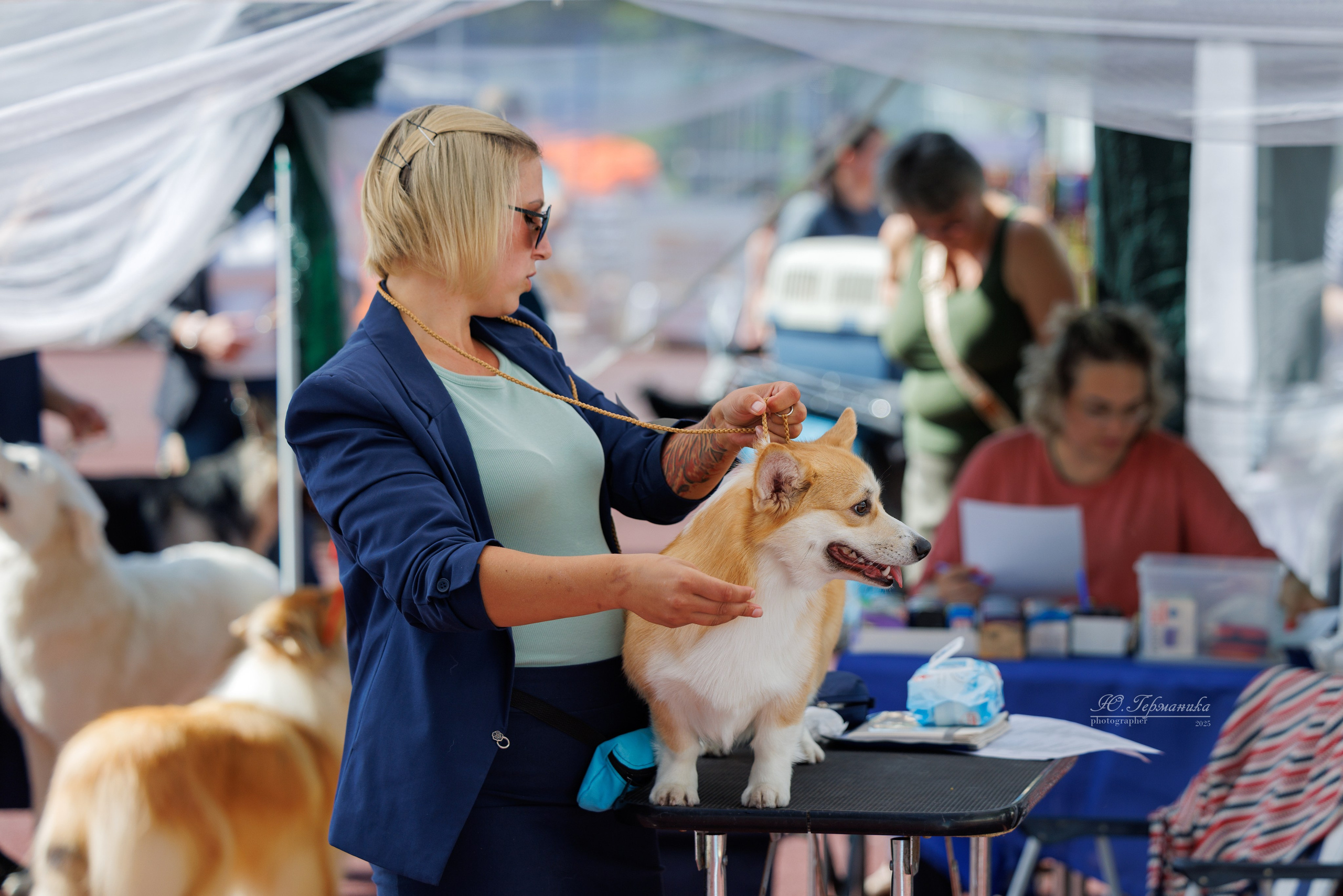 Коломна 30.08.2025. Фотограф-анималист Юлия Германика