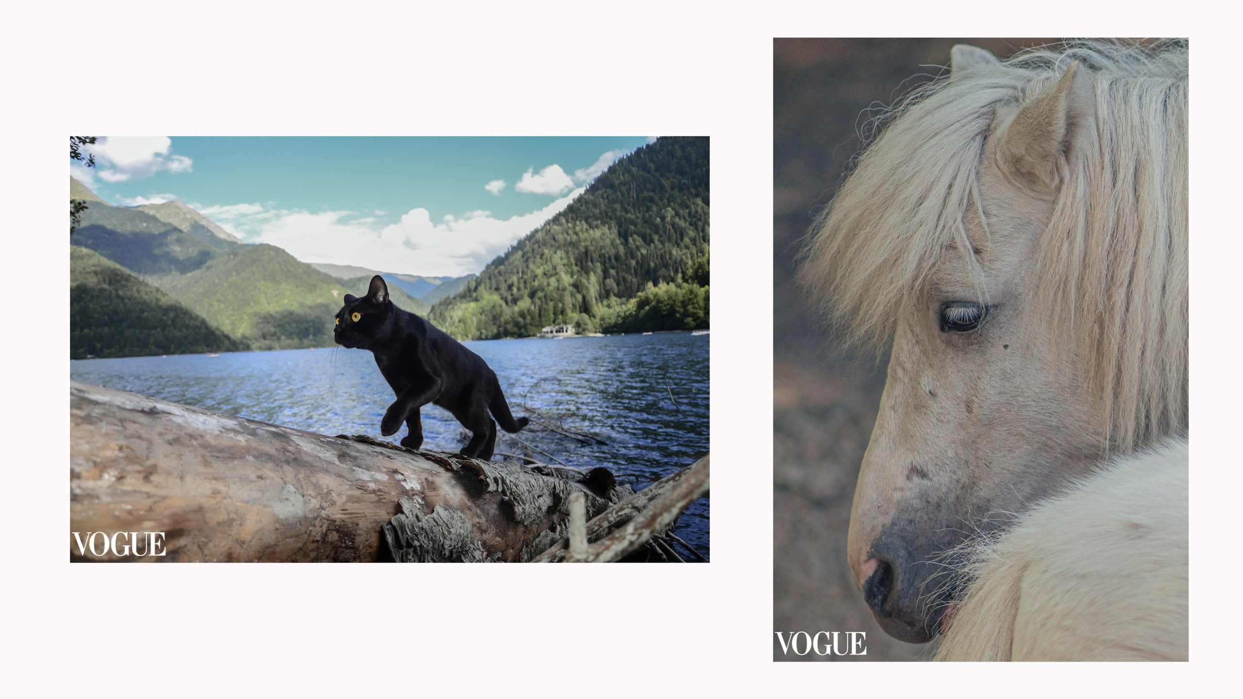 Фотограф Наталия Шляпина в Ростове-на-Дону