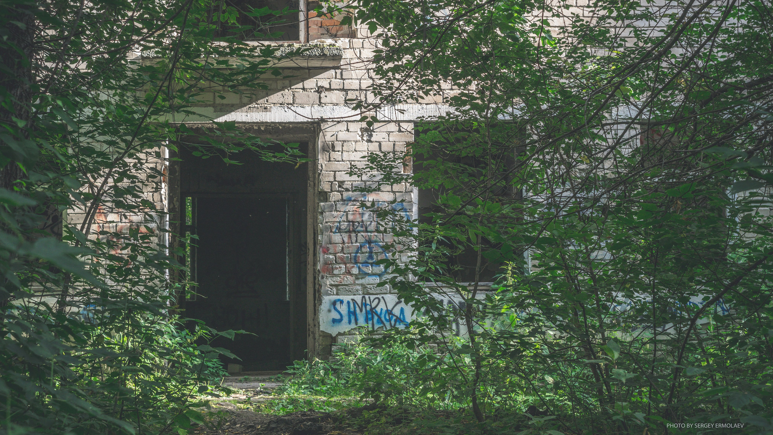 На тропах старинного парка