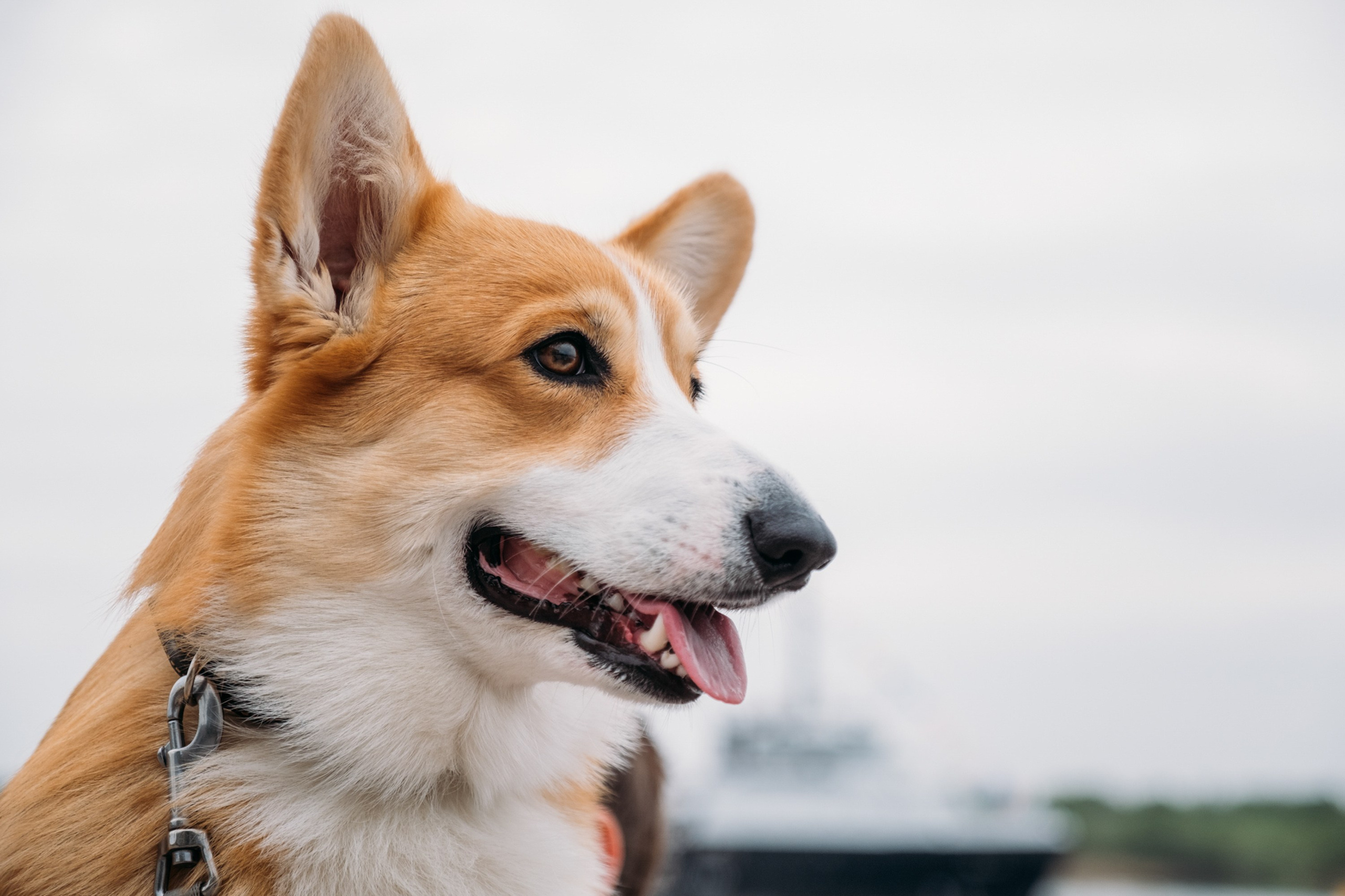 Набережная. Фотограф Анатолий Деникин